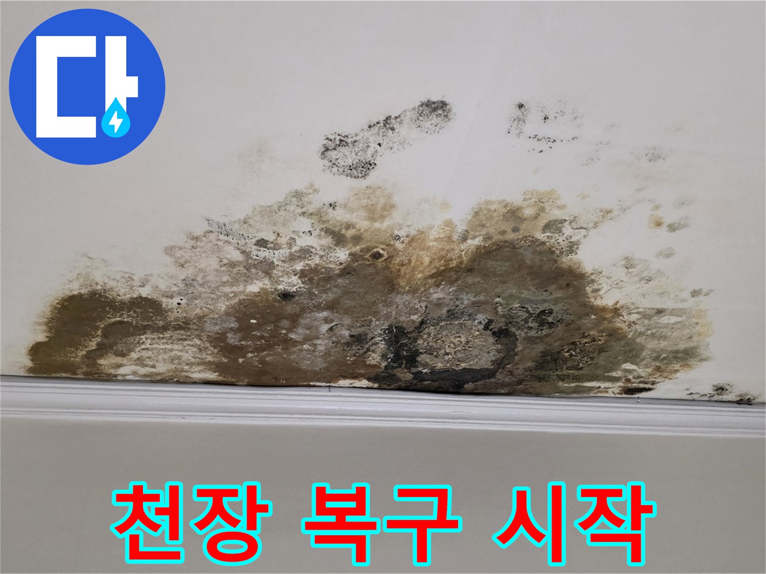 용강동 현대홈타운 아파트 누수 - 곰팡이로 인한 천장 손상 - 긴급 복구 작업 시작