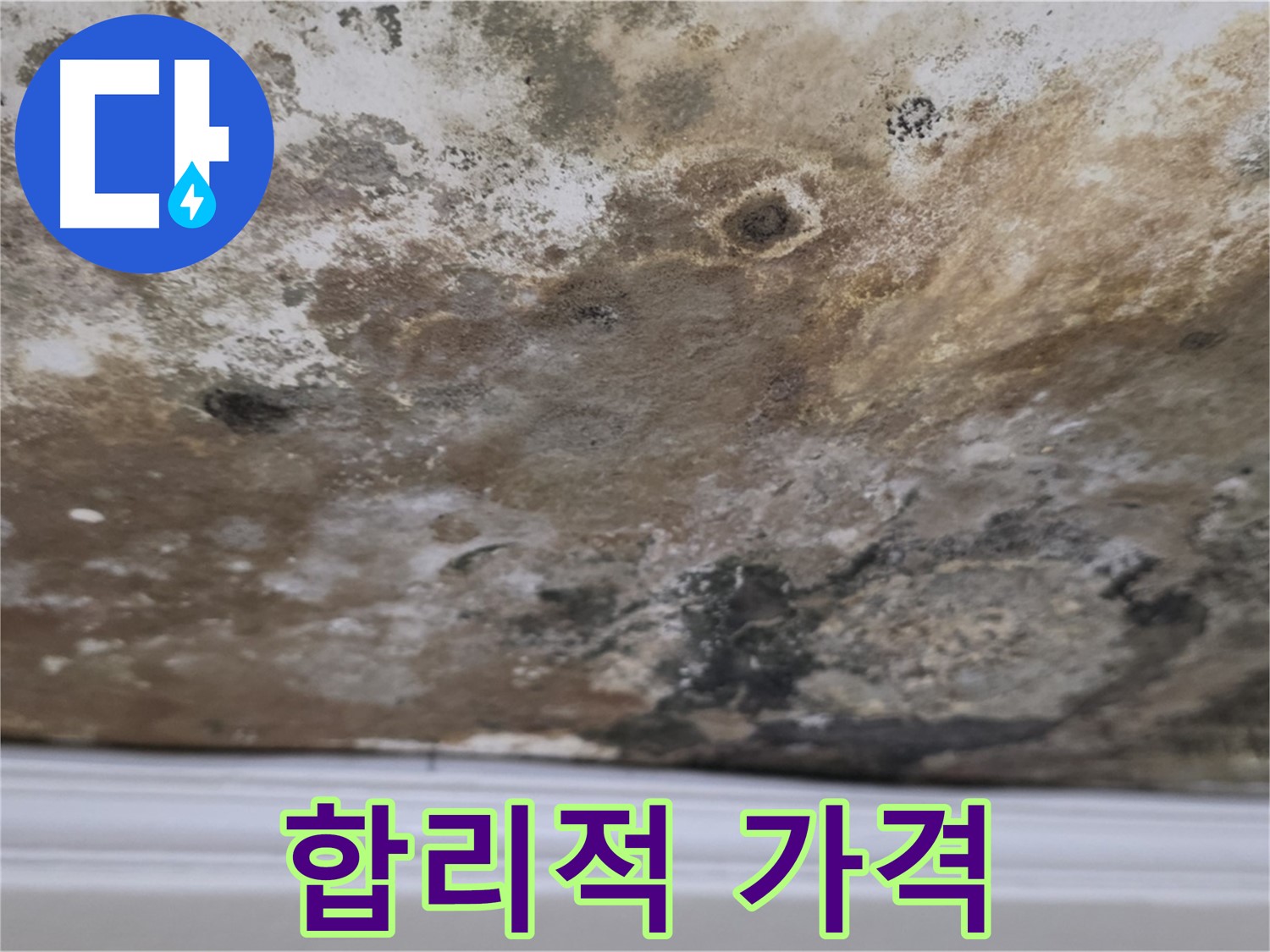 합리적인 가격으로 누수 해결 - 합리적인 가격으로 누수 문제를 해결하는 모습입니다.
