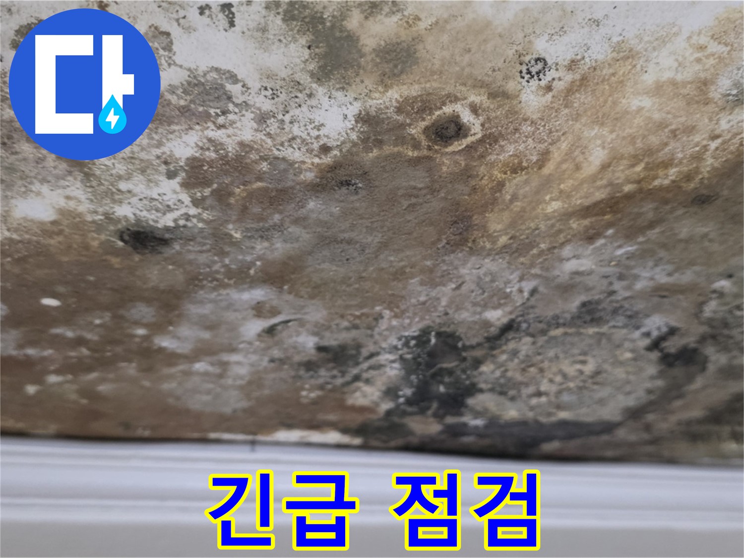 현대홈타운 곰팡이 천장 - 긴급 점검이 필요한 상황
