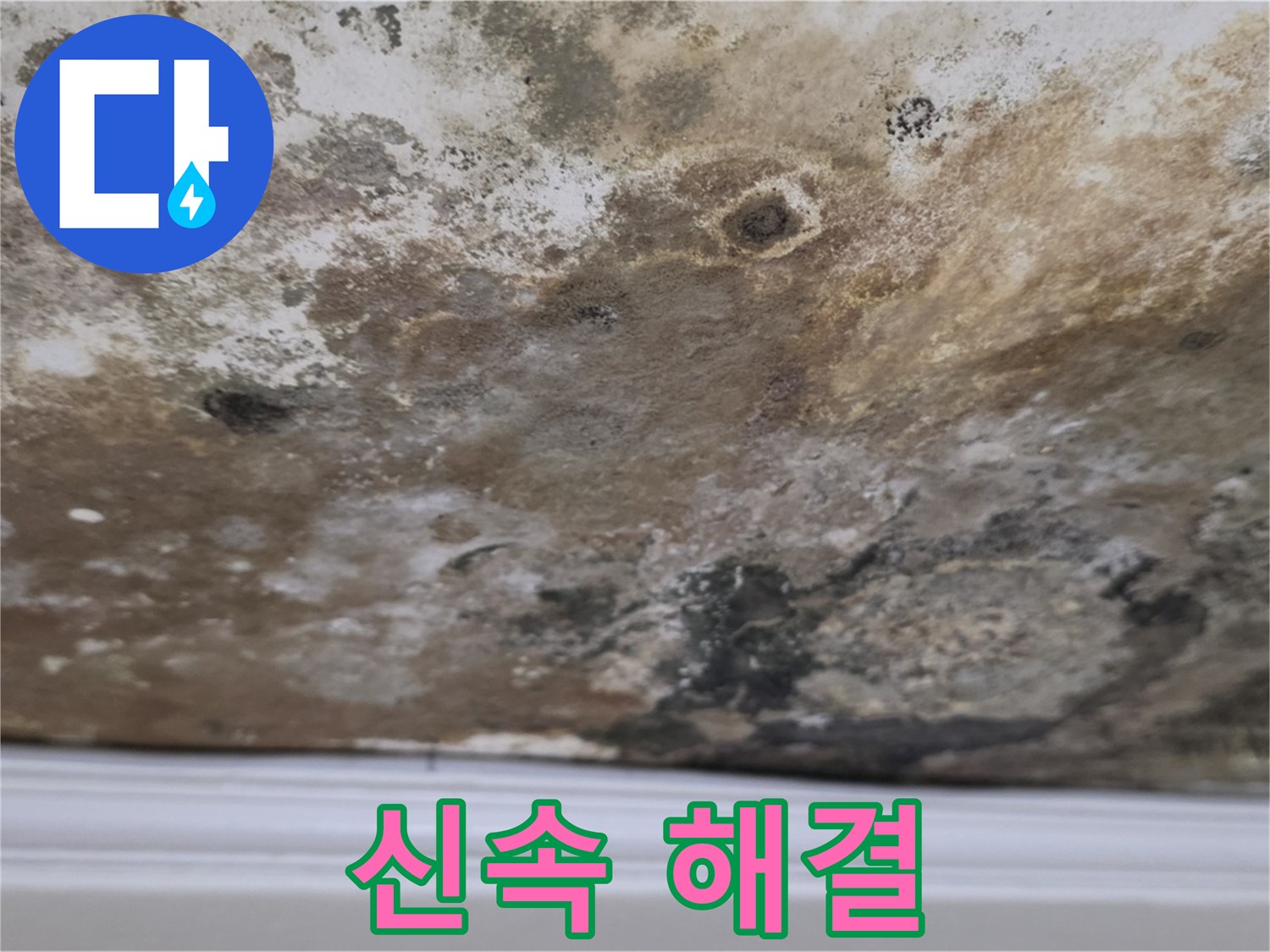 현대홈타운 곰팡이 천장 - 신속한 해결이 중요합니다!
