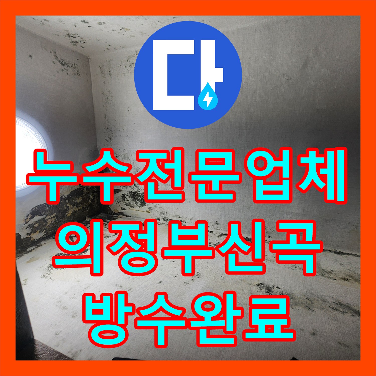 누수전문업체 창문 하단 벽체 부식과 검은 곰팡이 누수 지점 정밀 진단 의정부시 신곡1동