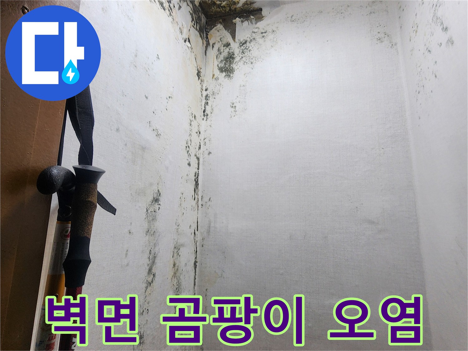 다용도실-벽면에-퍼진-검은-곰팡이와-부식된-상태