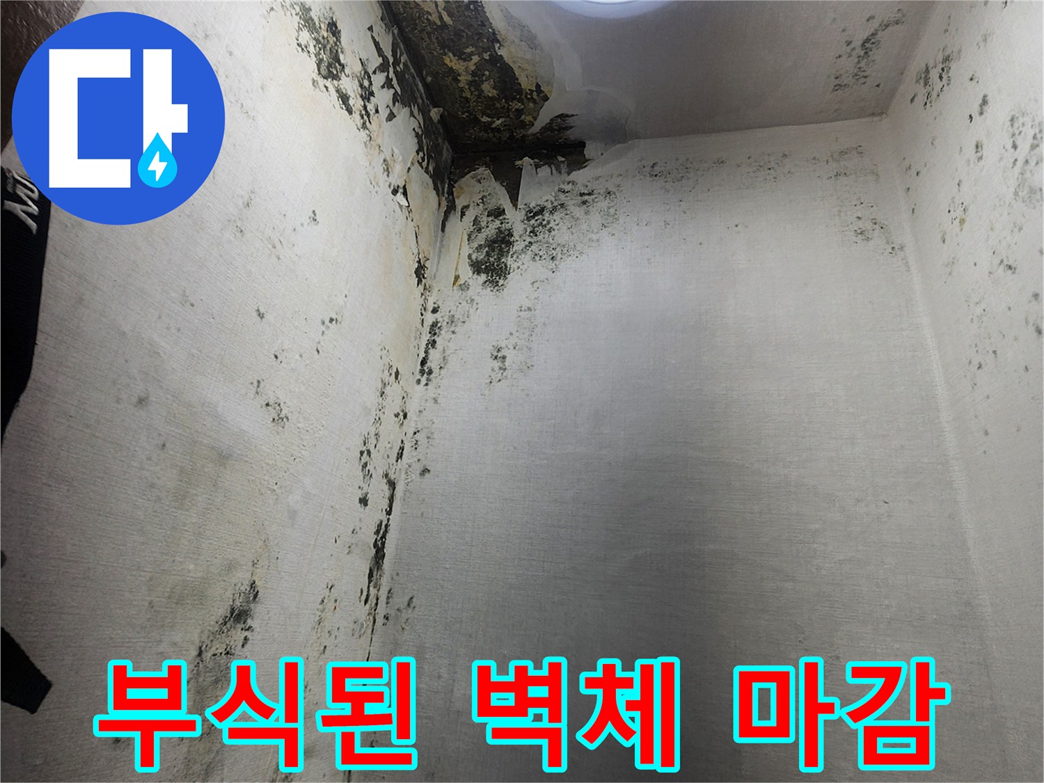 물샘-현장의-심하게-부식된-벽면과-창틀-주변