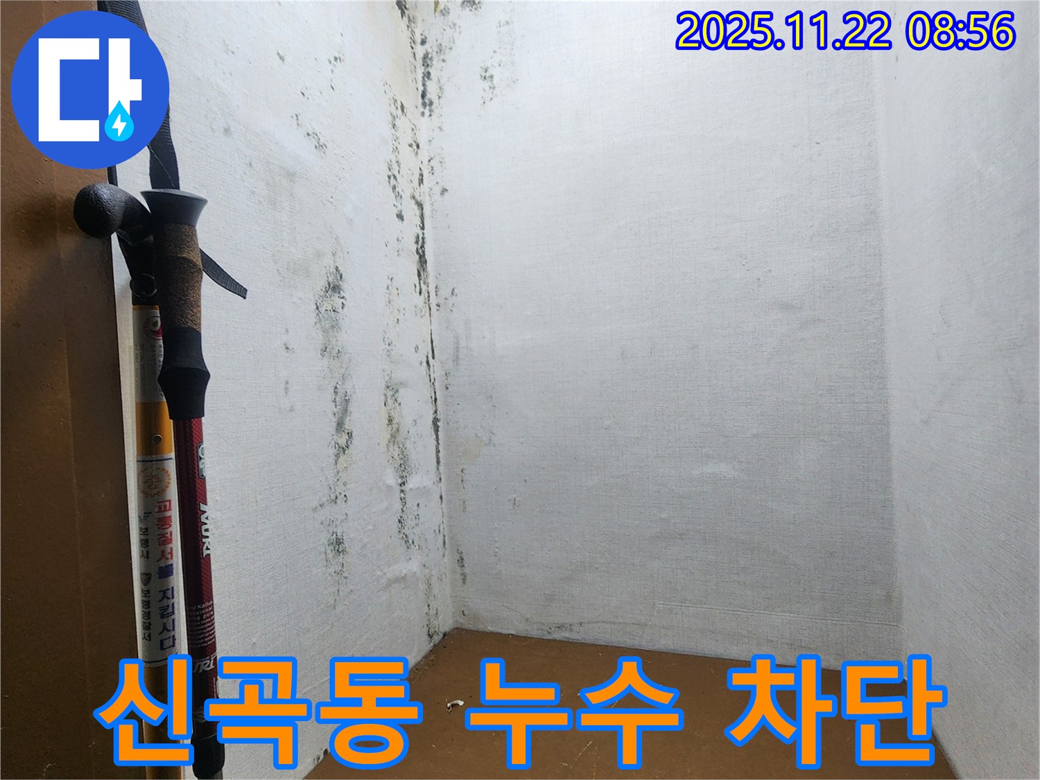 곰팡이 핀 벽 - 누수 원인 꼼꼼하게 분석