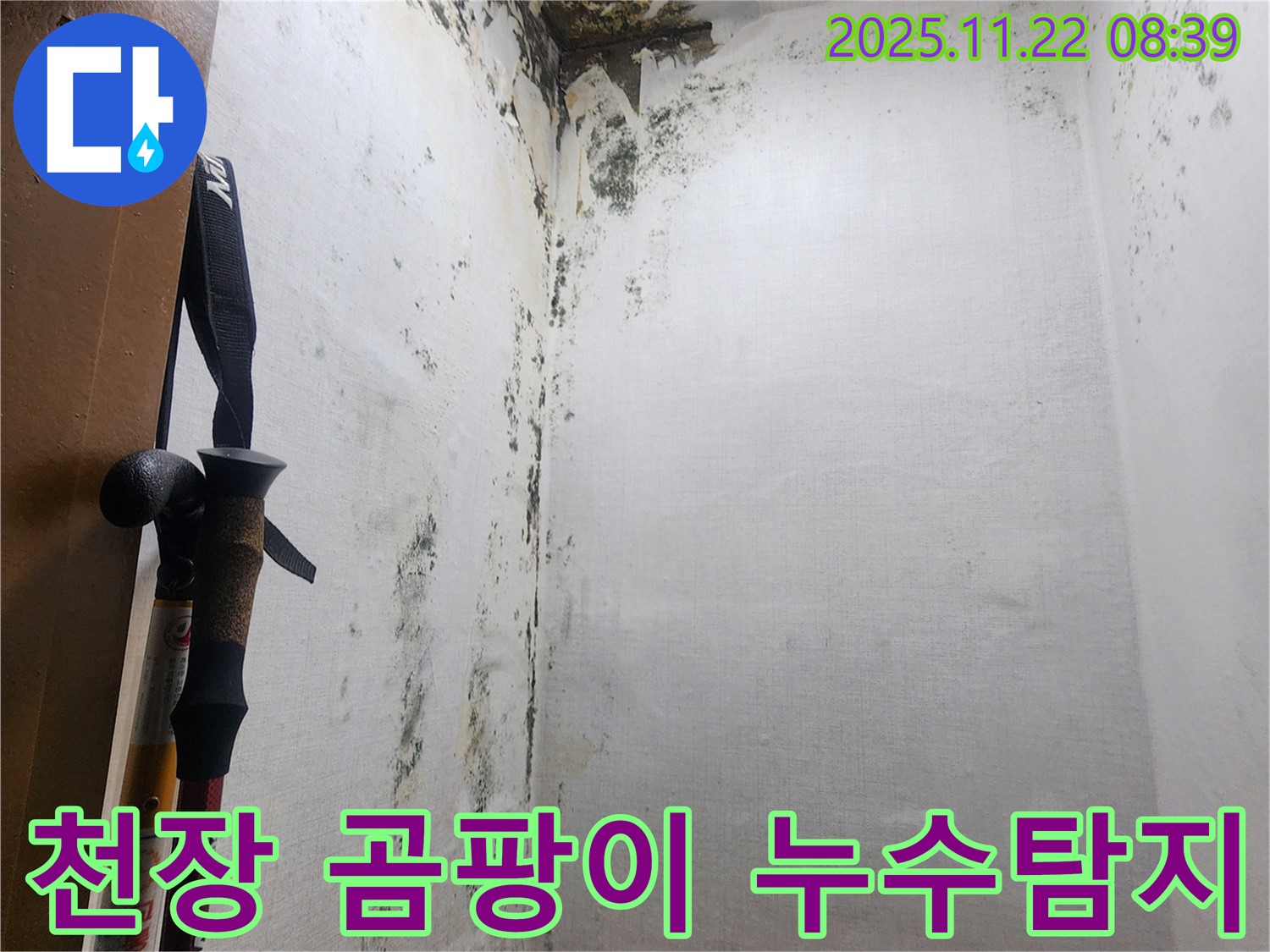의정부 신곡동 천장 누수 현장 - 곰팡이 발생 원인과 누수탐지 과정을 보여주는 이미지입니다.
