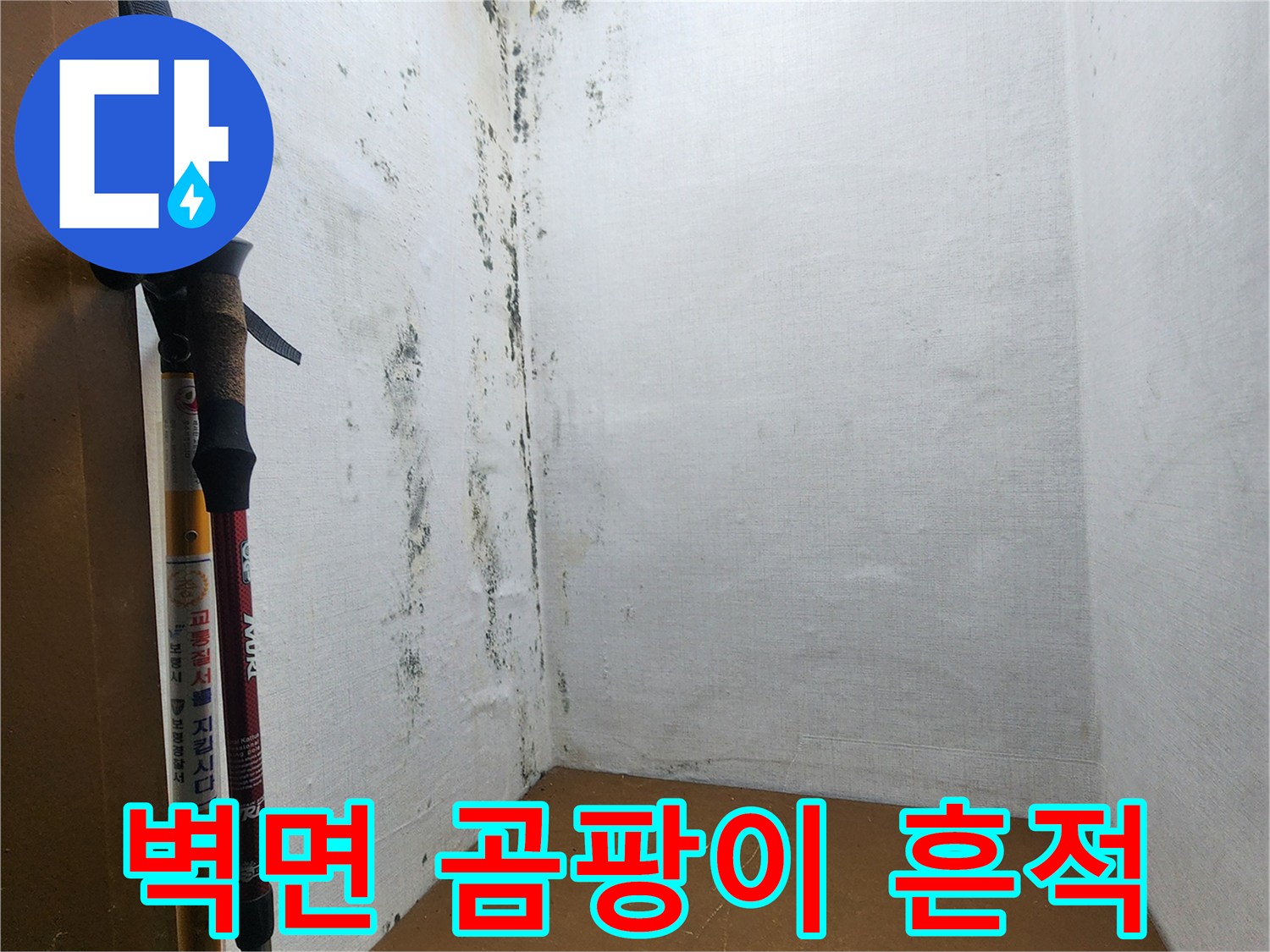 의정부 신곡동 현장의 누수로 인한 벽면 곰팡이 발생 상태