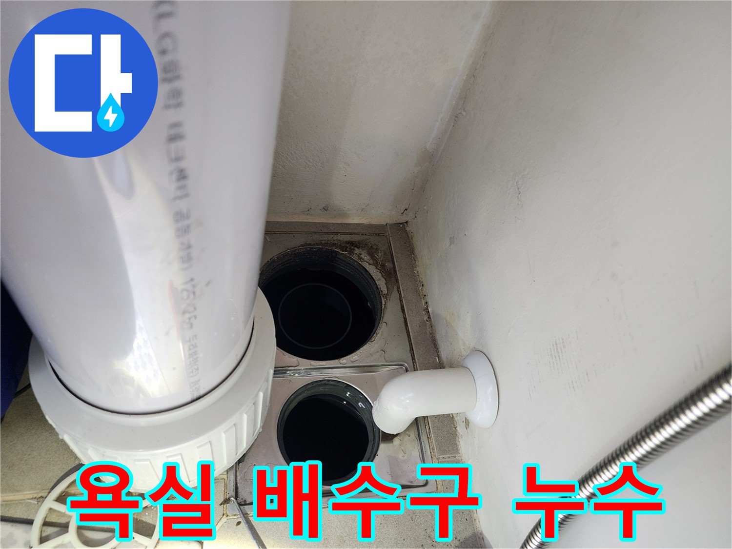 판교 대장동 힐스테이트 욕실 - 배수구 주변 누수 확인