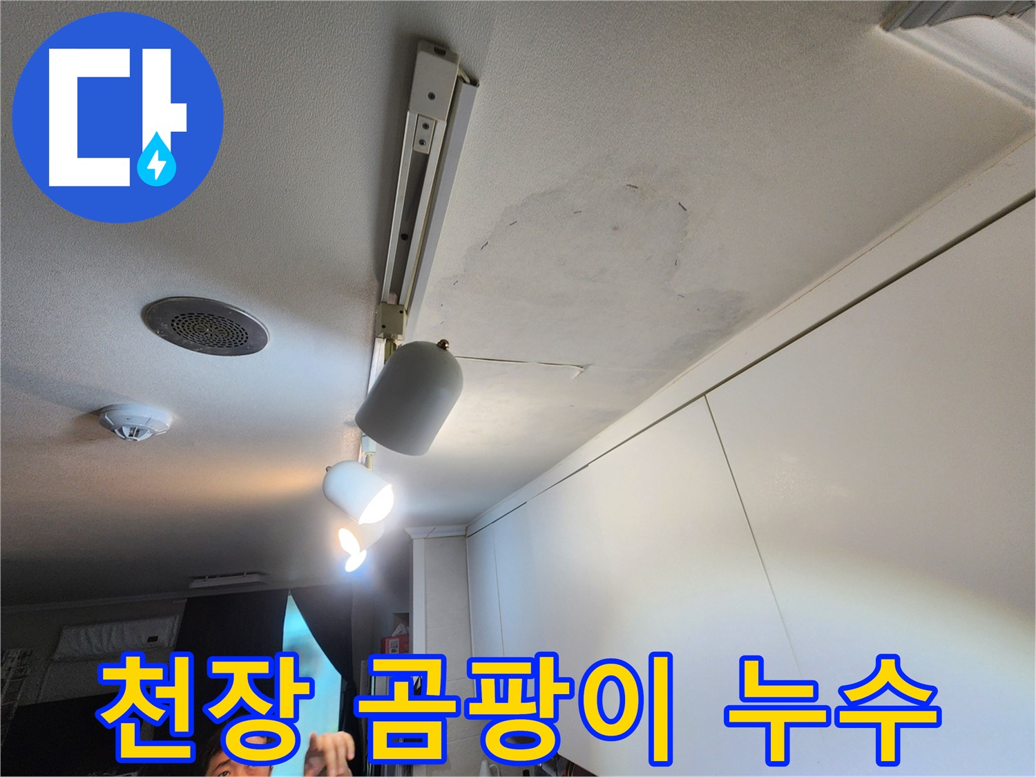 공릉2단지 아파트 누수 - 천장 곰팡이 건강 위협 - 곰팡이 완벽 제거 약속