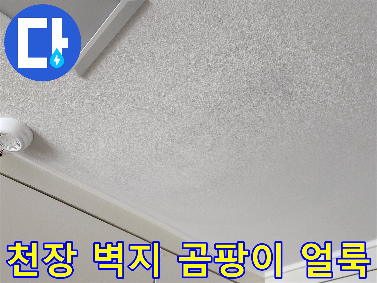 포천 가산면 현장의 천장 벽지 변색 및 곰팡이 발생 상태