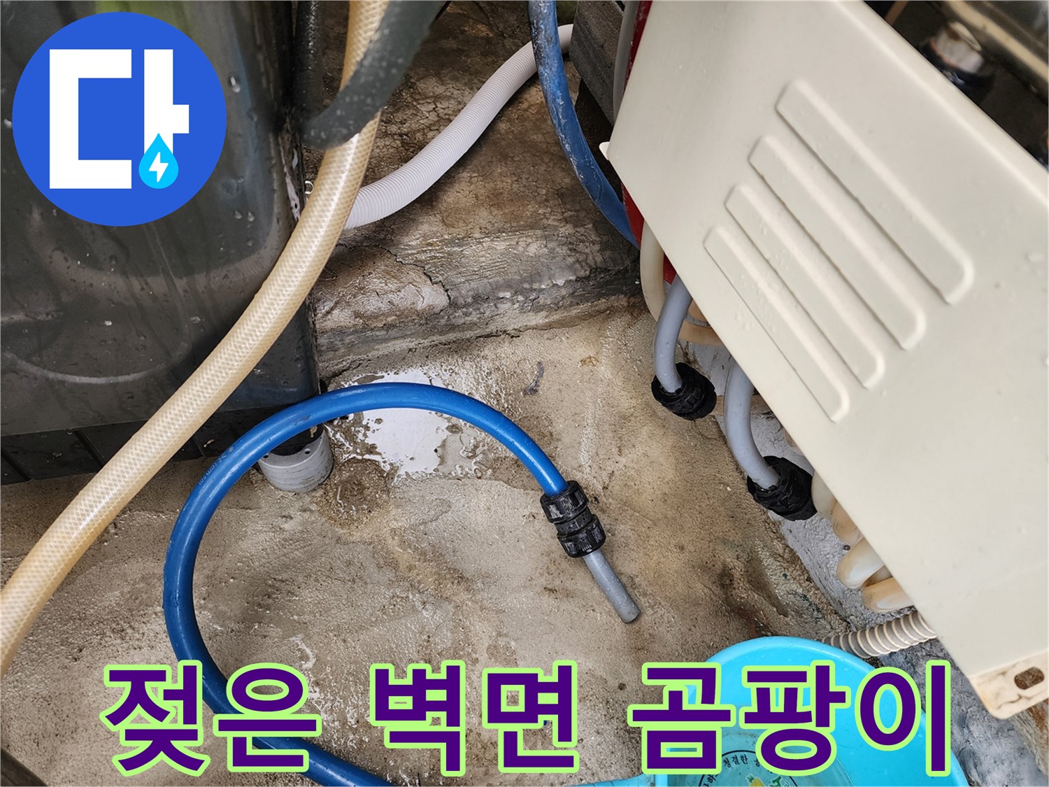 삼선동 누수 - 젖은 벽면과 곰팡이 발생 원인 분석