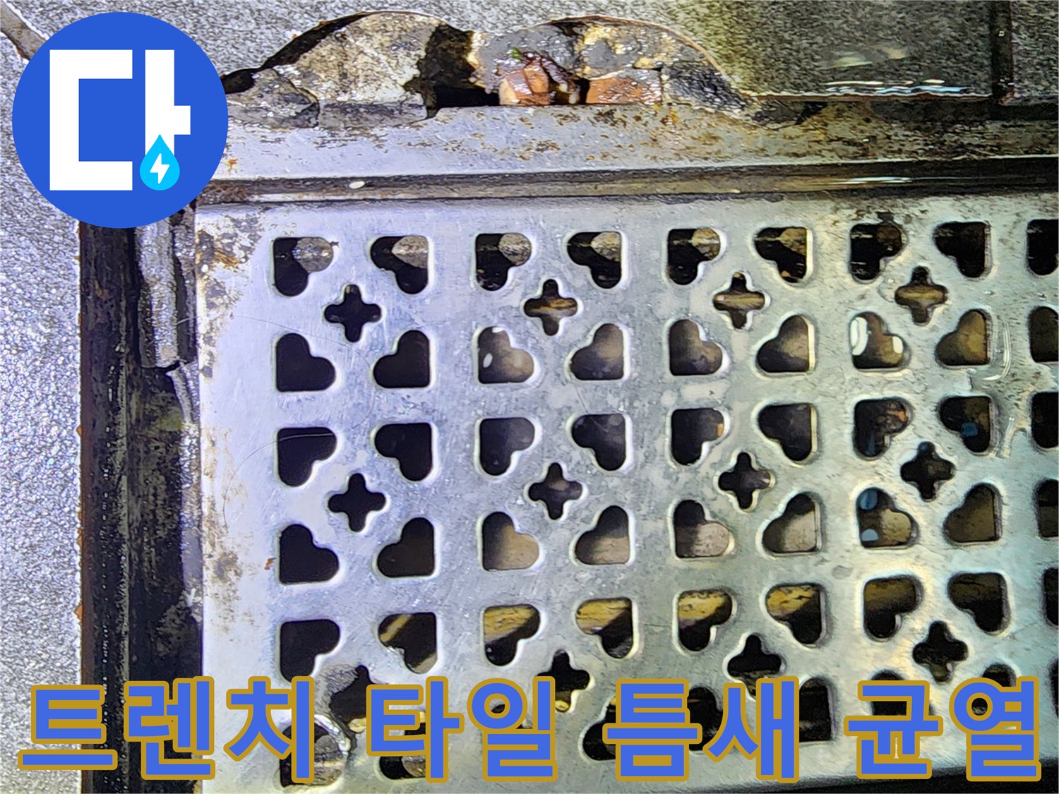 금속 배수판 옆 타일 마감재의 파손 및 습기 침투 현황