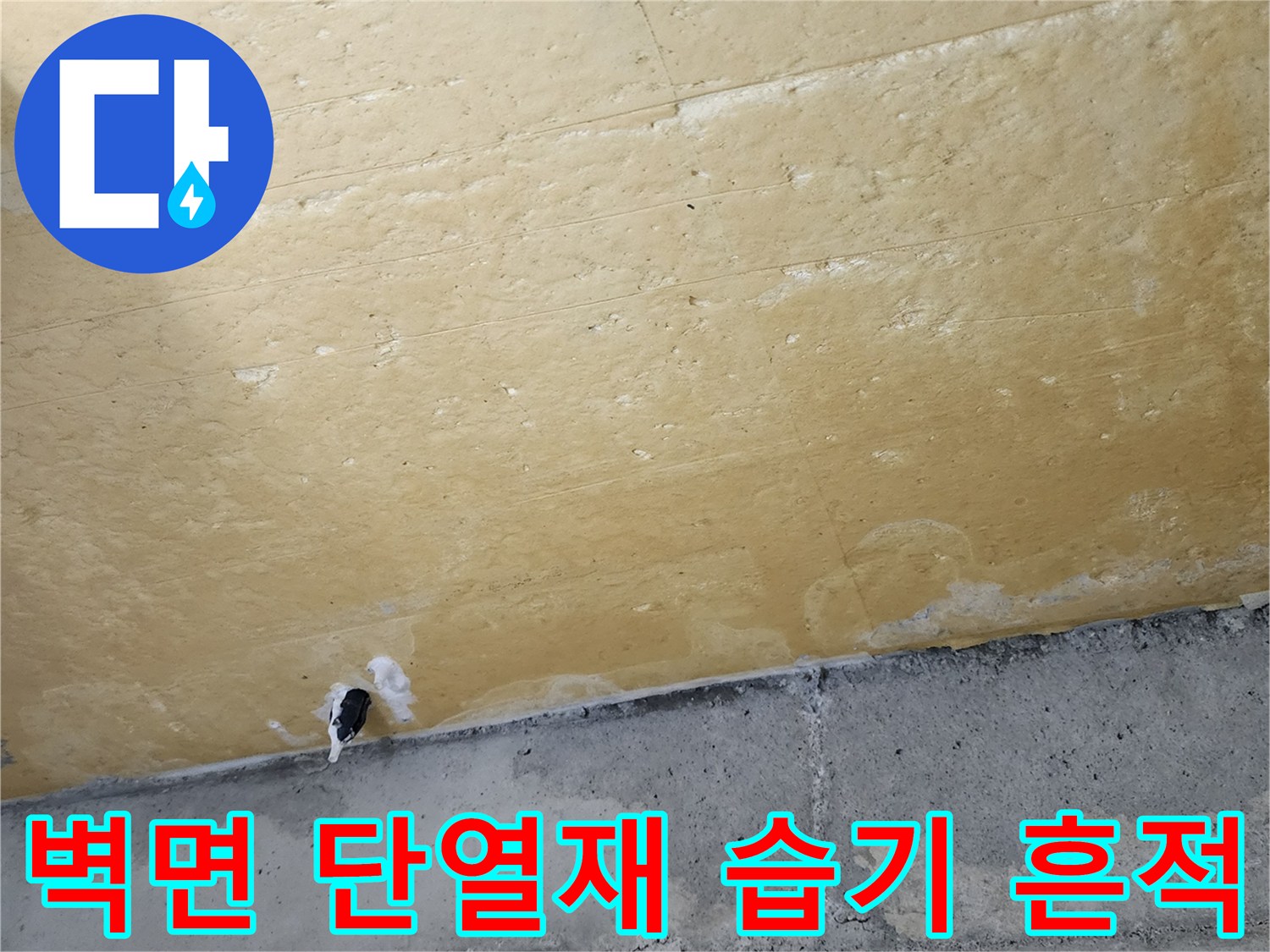 식당 내부-벽면 단열재 하단에 나타난 습기 및 오염 상태