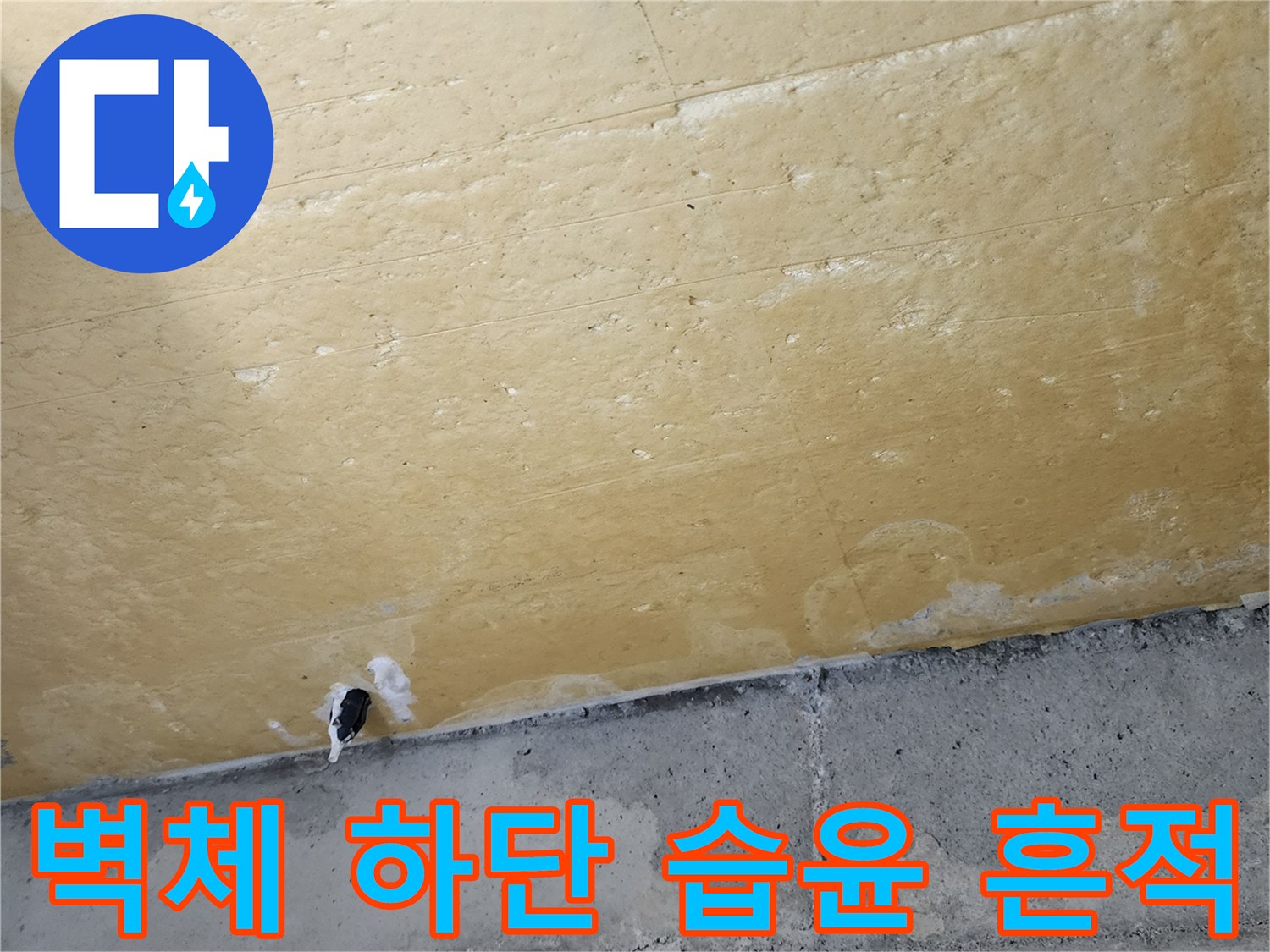 현장 벽면 상태 - 젖은 콘크리트와 변색된 단열재 마감