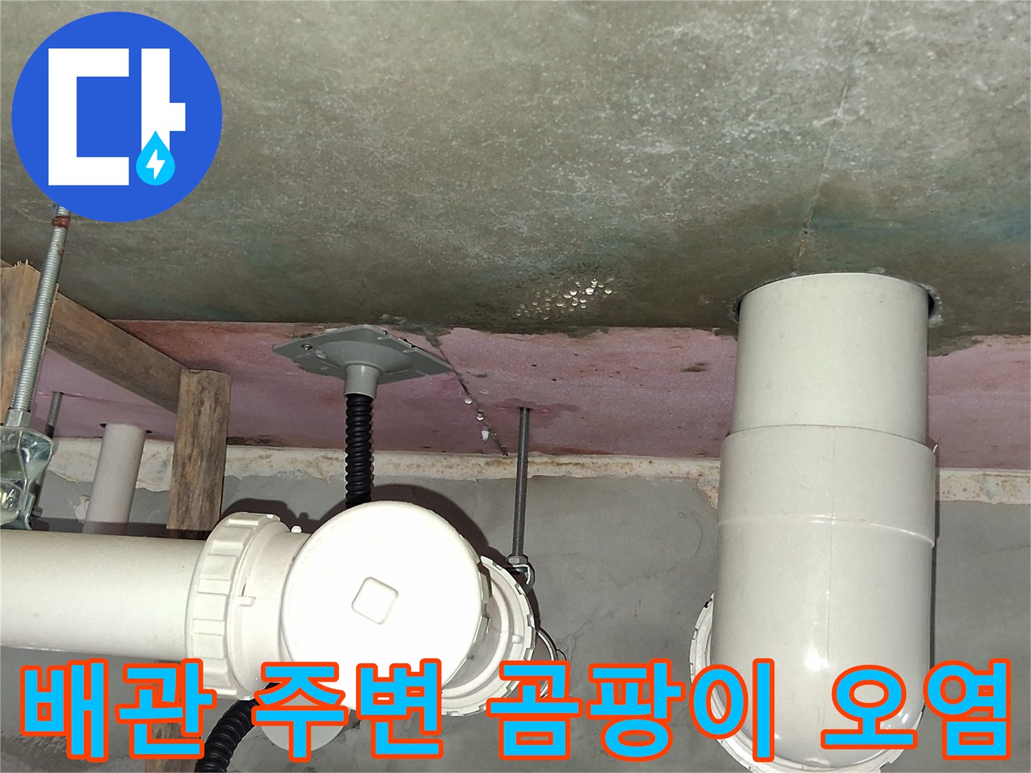 욕실 천장 배관-주변의 곰팡이와 습기 침투 흔적