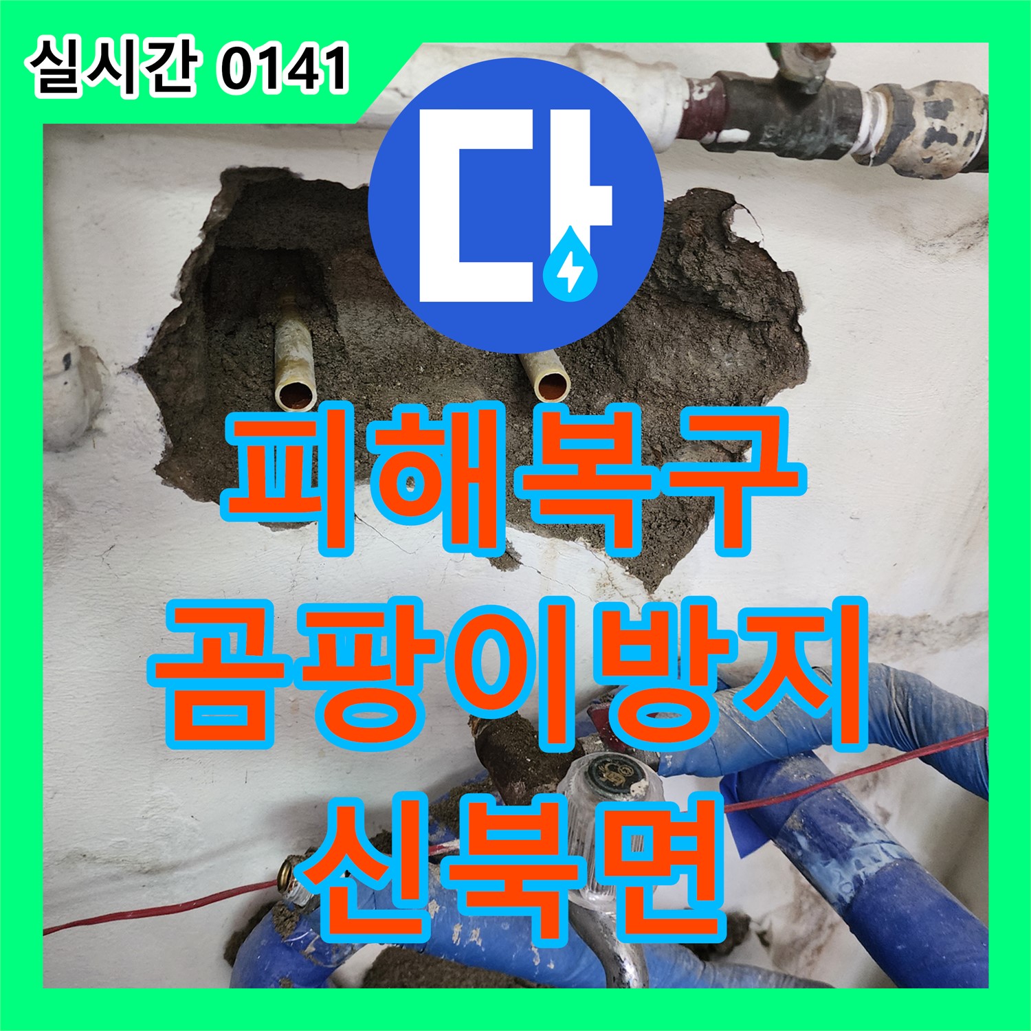 신북면 누수탐지비용, 누수 피해 복구, 젖은 벽 청소 및 곰팡이 방지