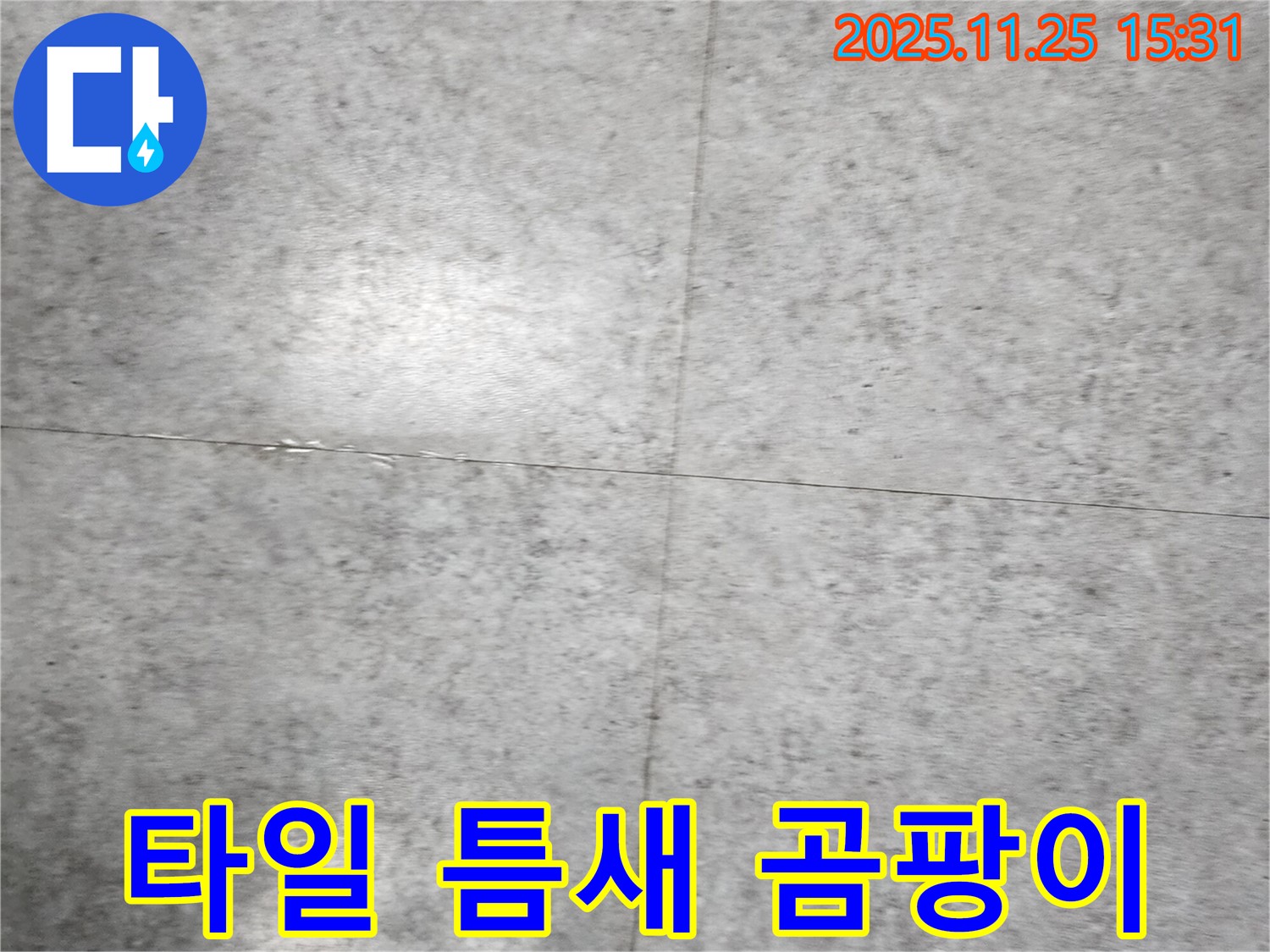 타일 틈새의 곰팡이 - 습한 환경과 누수로 인해 발생할 수 있습니다.