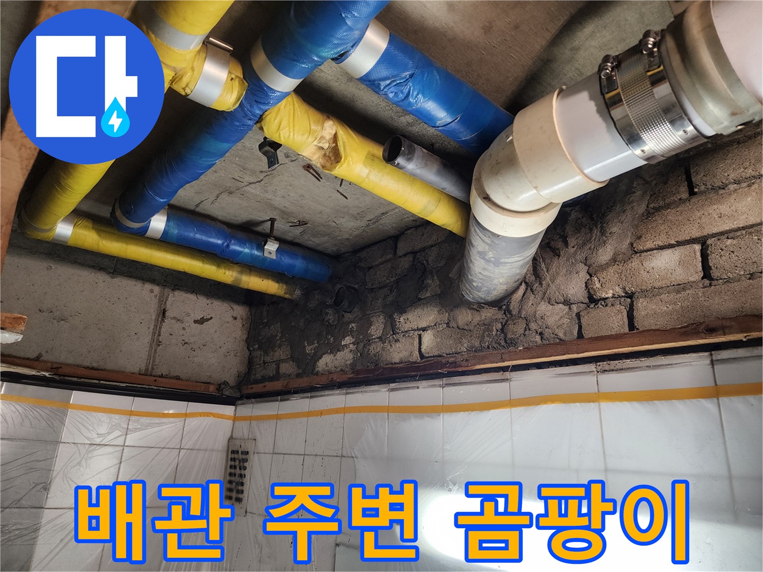 작전동 코오롱아파트 누수 - 배관 주변에 발생한 곰팡이