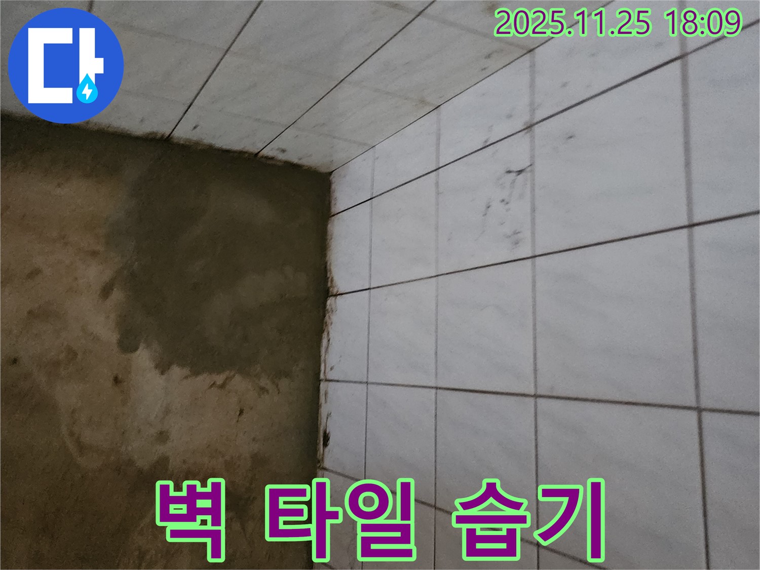 포천 - 욕실 벽 타일 습기, 곰팡이 발생! 누수 의심, 전문가 점검 필수