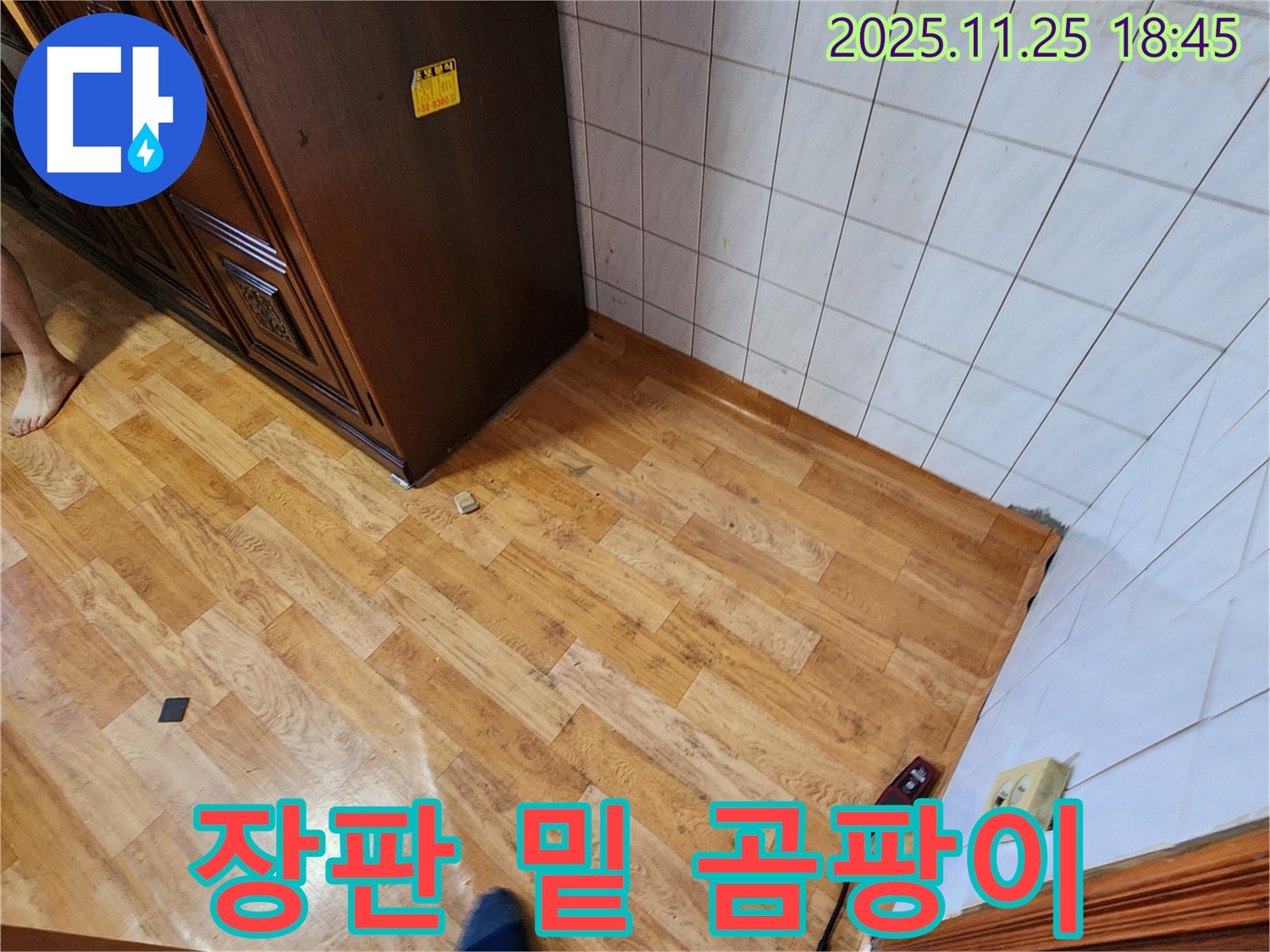 포천시 신북면 심곡리 - 장판 밑 곰팡이 냄새 - 습기 주의