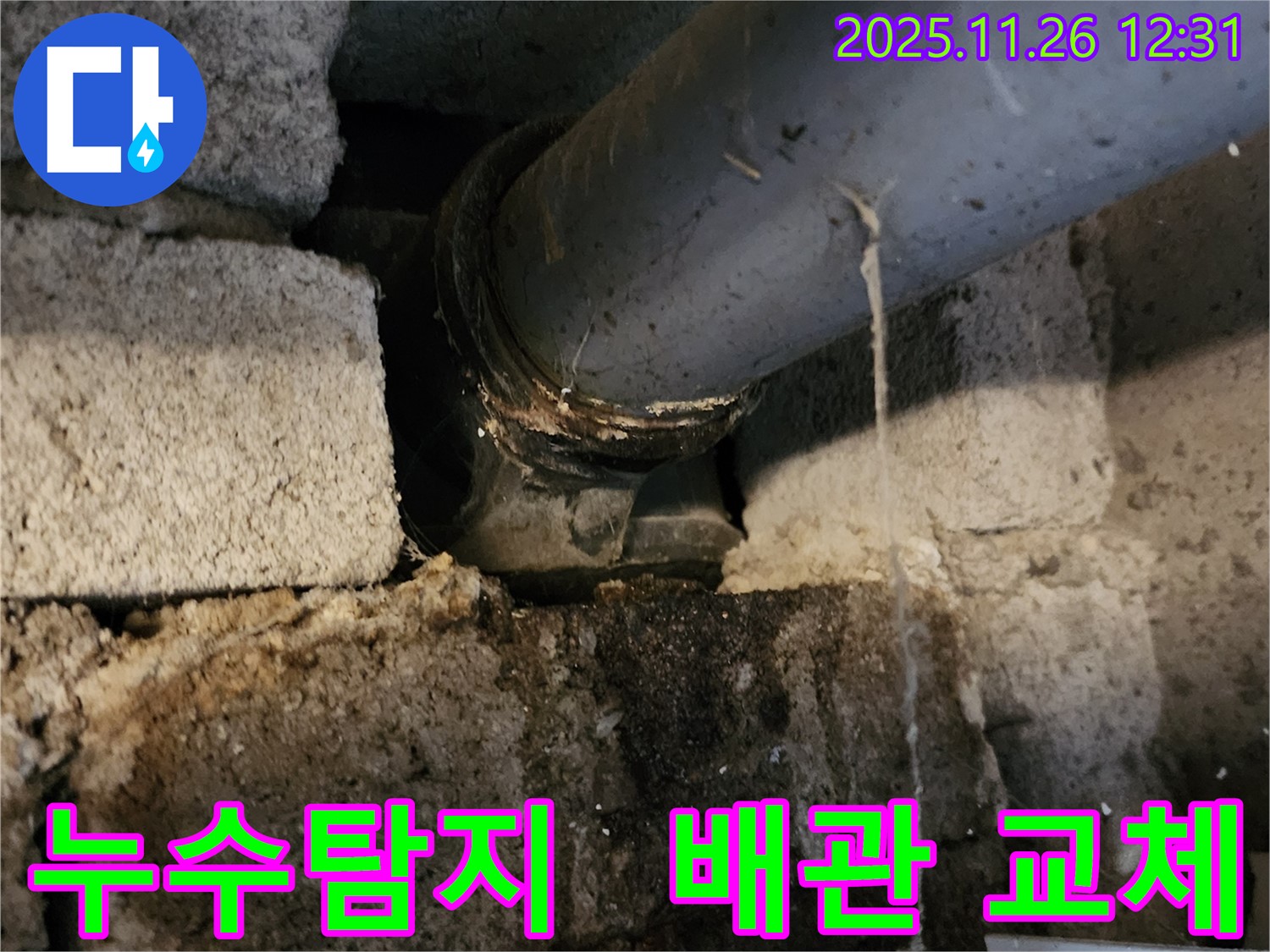 포천 신북면 고일리 누수 현장 - 신속한 누수탐지와 정확한 배관 교체로 문제 해결!