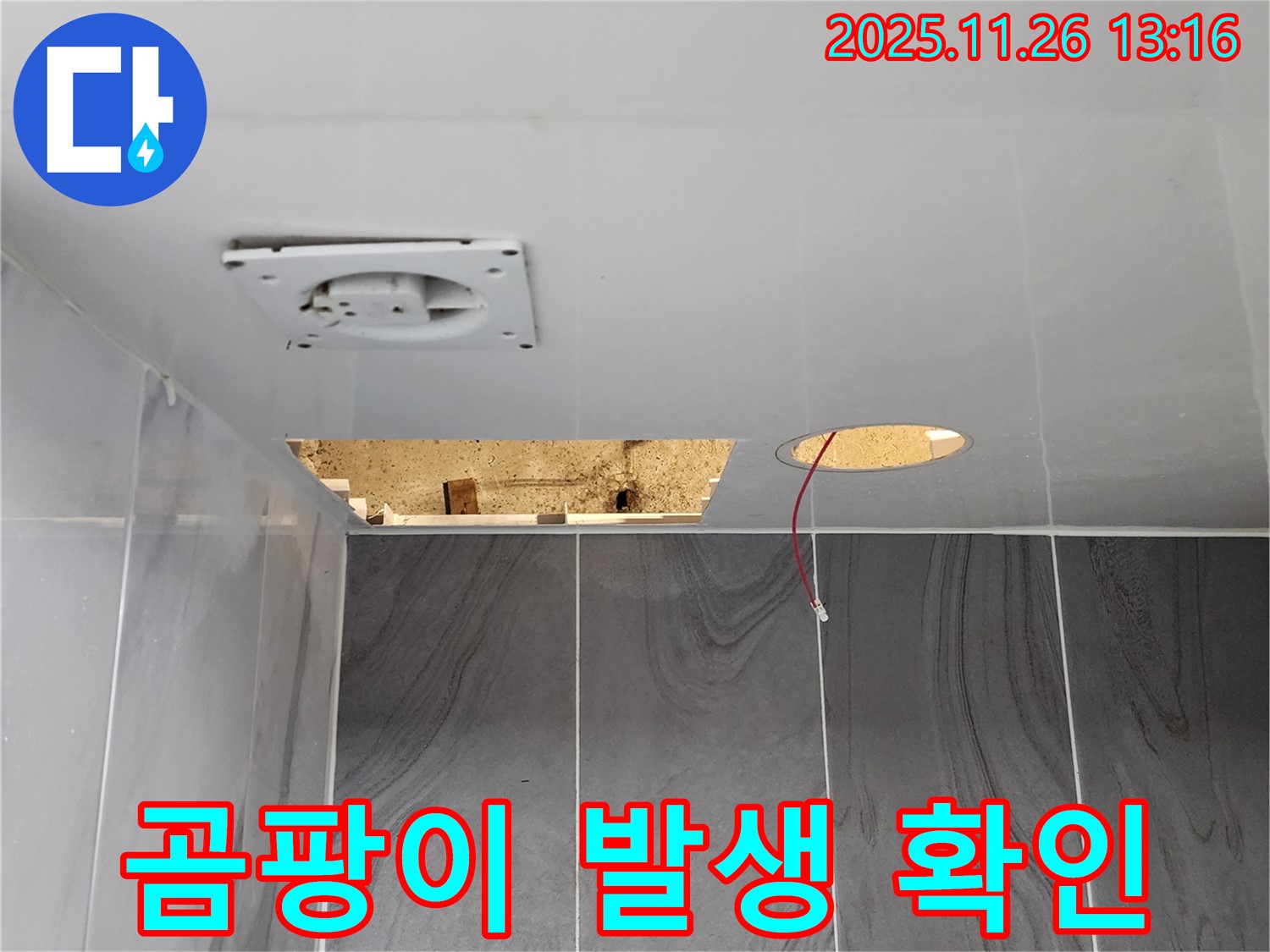 포천시 신북면 고일리 욕실 천장 - 곰팡이 발생 여부 및 범위를 집중적으로 확인하고 있습니다.