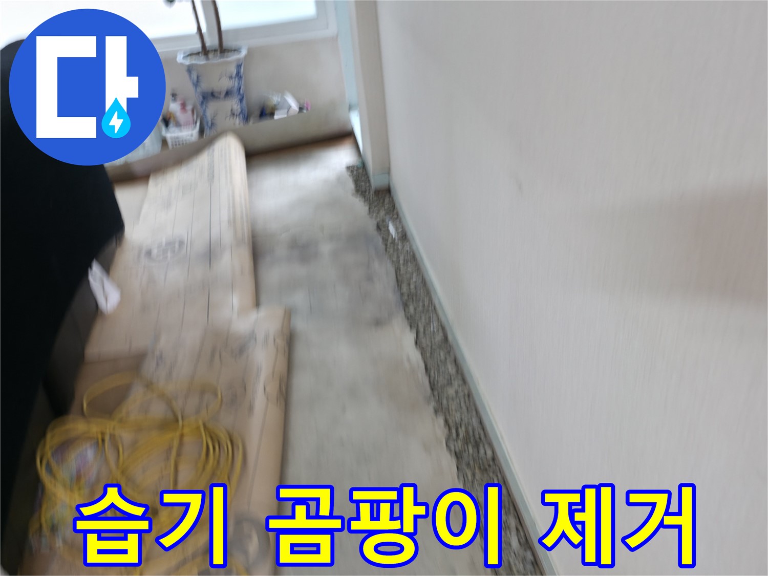 서초동 명달로4길 주택 누수 - 합리적인 비용으로 누수 고민을 해결해 드립니다.