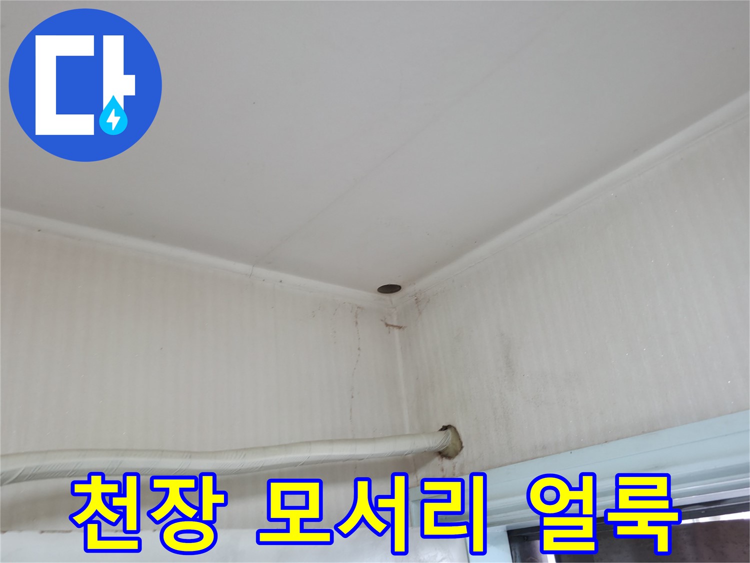 서초2동 명달로4길 천장 얼룩 - 윗집 누수 의심!