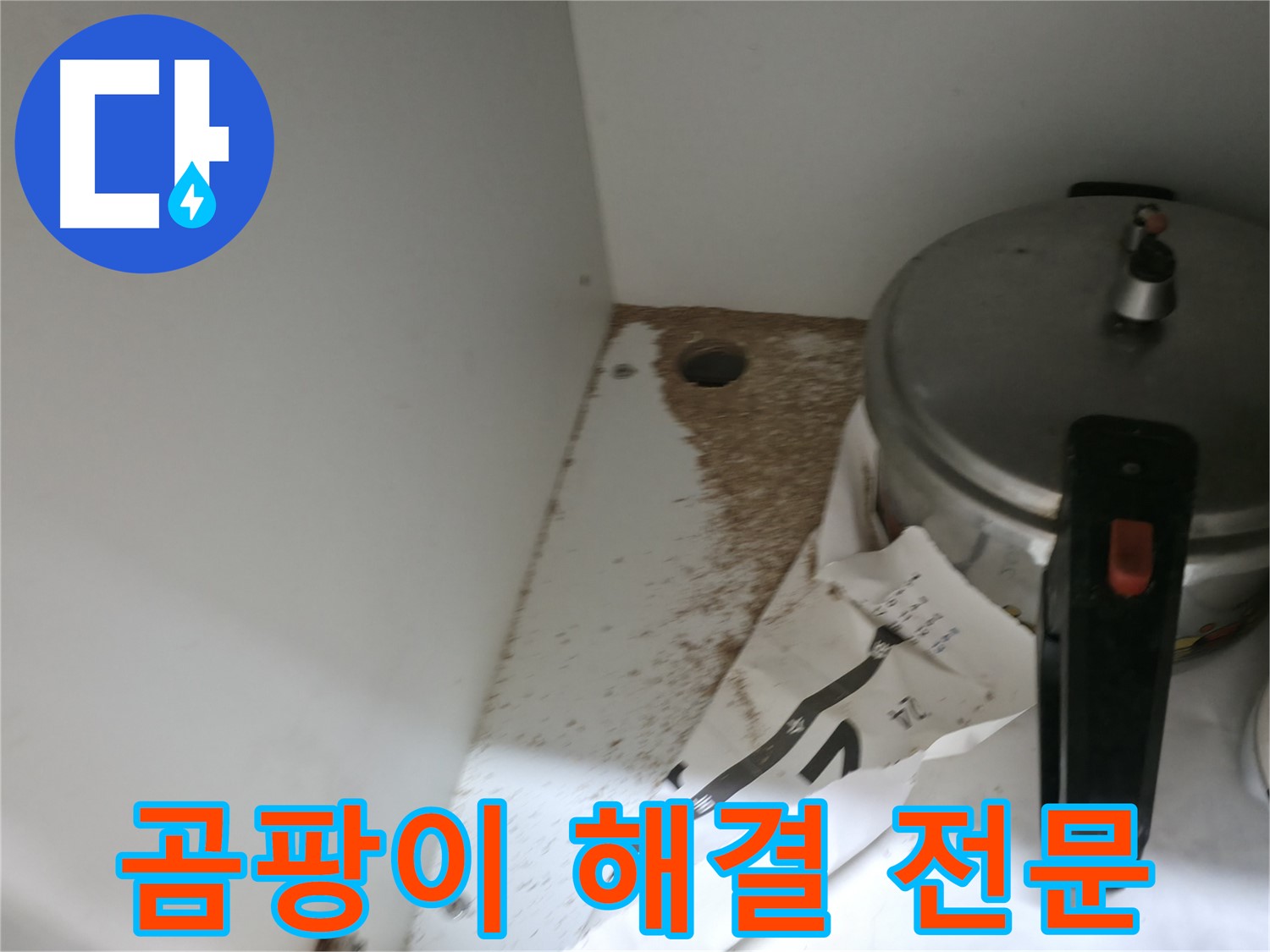 싱크대 하부 - 나무 손상 - 지속적 습기 노출 - 점검 필요