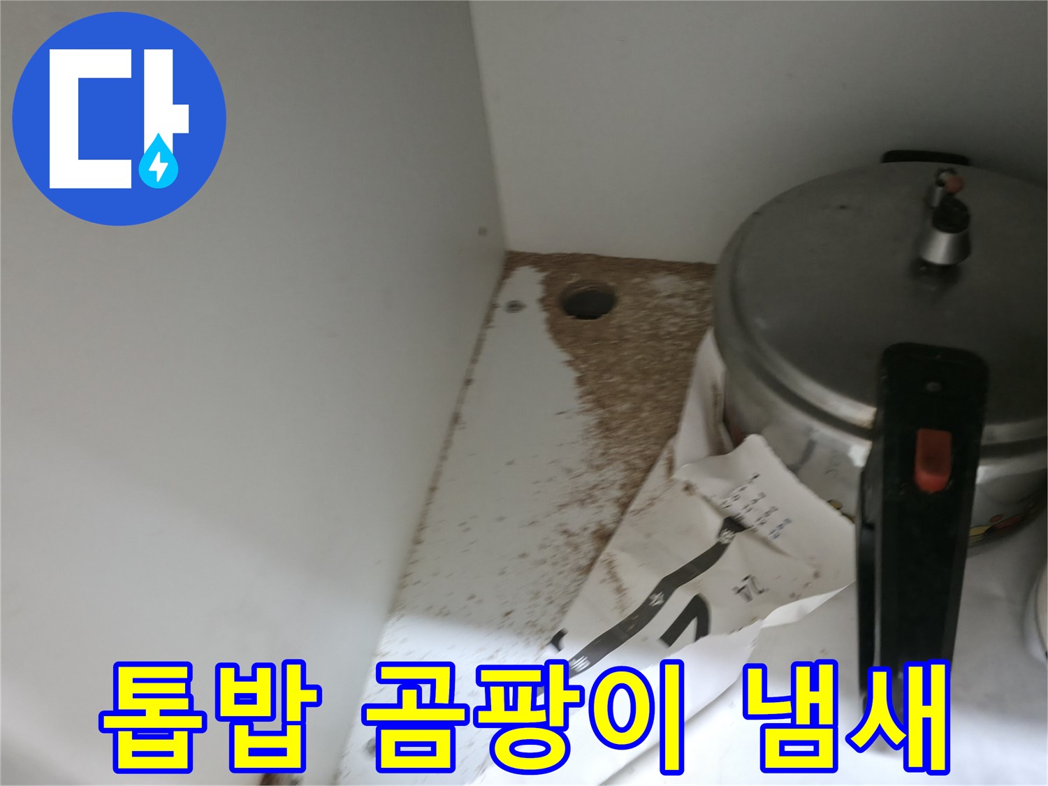 싱크대 하부 - 톱밥 - 확실한 해결 - 더 이상 걱정 마세요