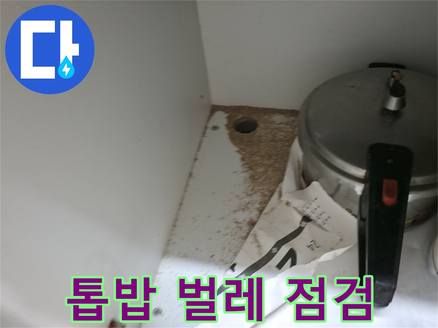 싱크대 밑 - 나무 부패 - 신속한 점검이 필요합니다.