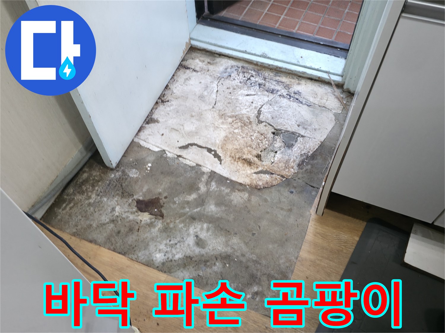 서초2동 아파트 누수 - 파손되고 곰팡이 냄새가 나는 현관 바닥 - 누수 완벽 복구 필요