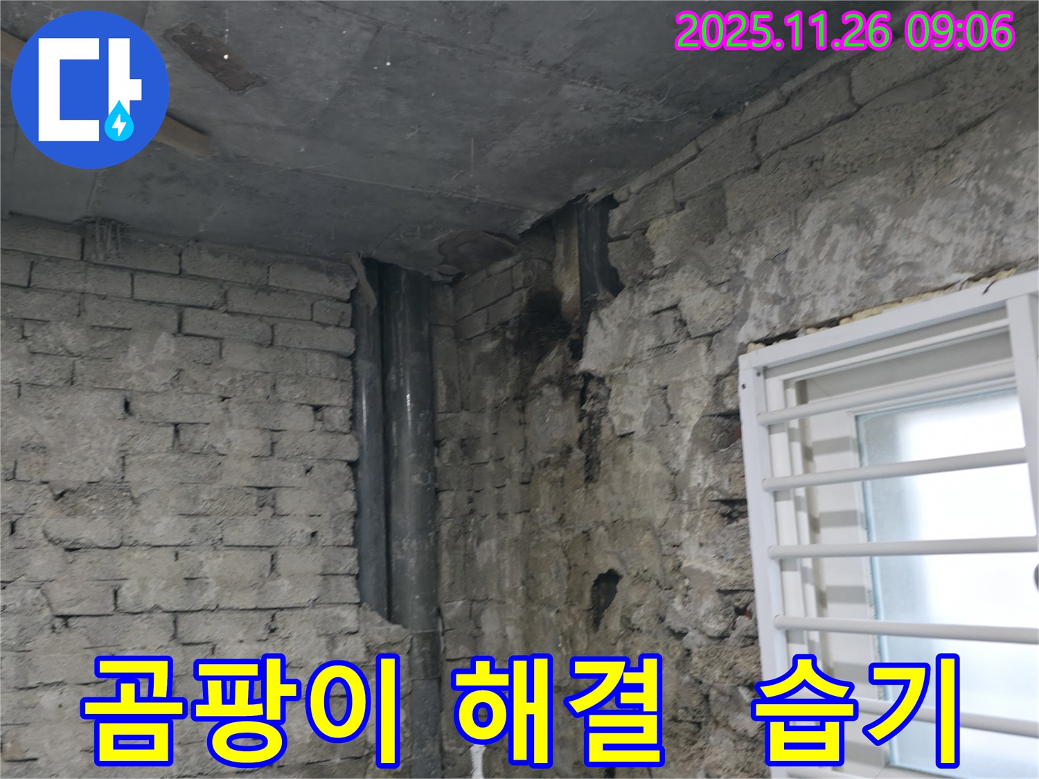 서초구 명달로4길 - 주택 내부 곰팡이 문제 해결 - 완벽한 습기 제거로 쾌적한 보금자리를 선물하세요 - 쾌적한 주거 환경 조성
