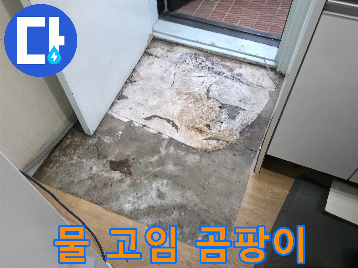 서초구 서초2동 누수 - 물이 고여있고 곰팡이가 핀 현관 앞 바닥 - 누수 원인 꼼꼼 점검 필요