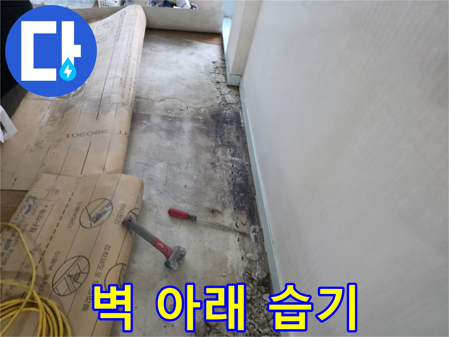 서초구 서초2동 누수 현장 - 벽 아래 습기 발생 - 곰팡이 발생 가능성 확인