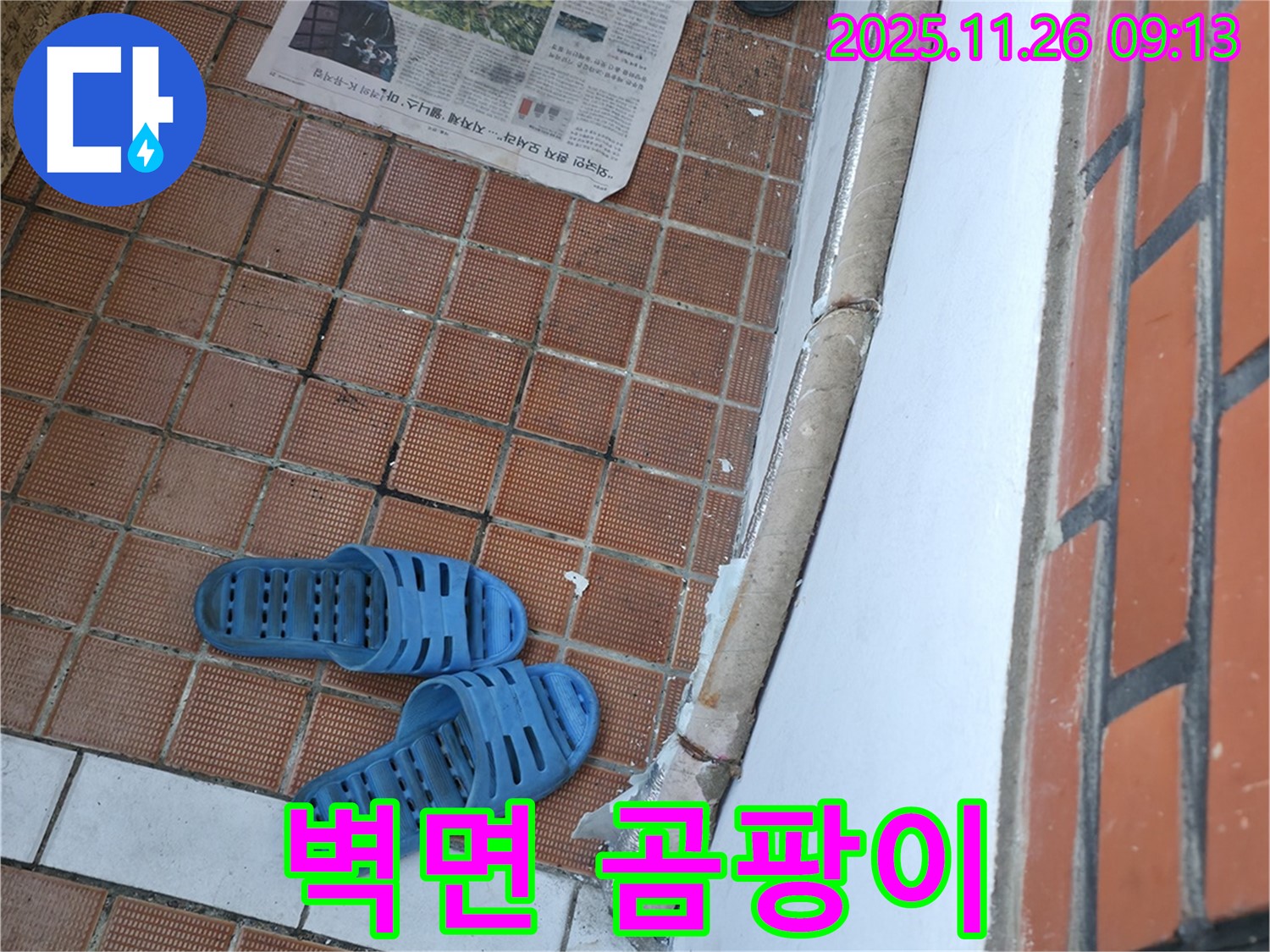 서초구 서초2동 누수 현장 - 신발장 뒤 벽면 습기로 인한 곰팡이 번식 및 악취