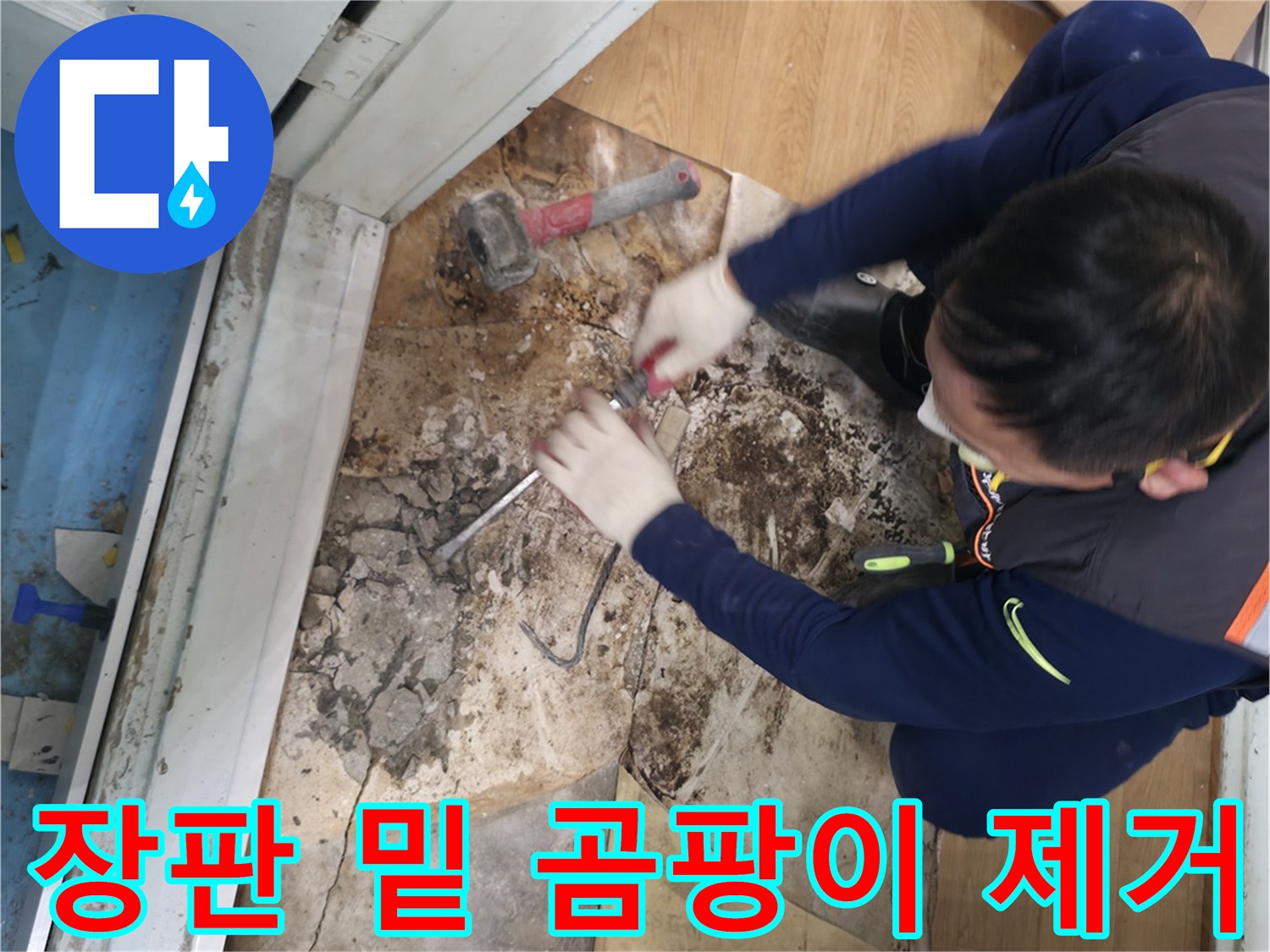 서초구 서초2동 명달로 장판 밑 곰팡이 제거 - 장판 아래 심각하게 번식한 곰팡이를 제거하는 모습입니다.