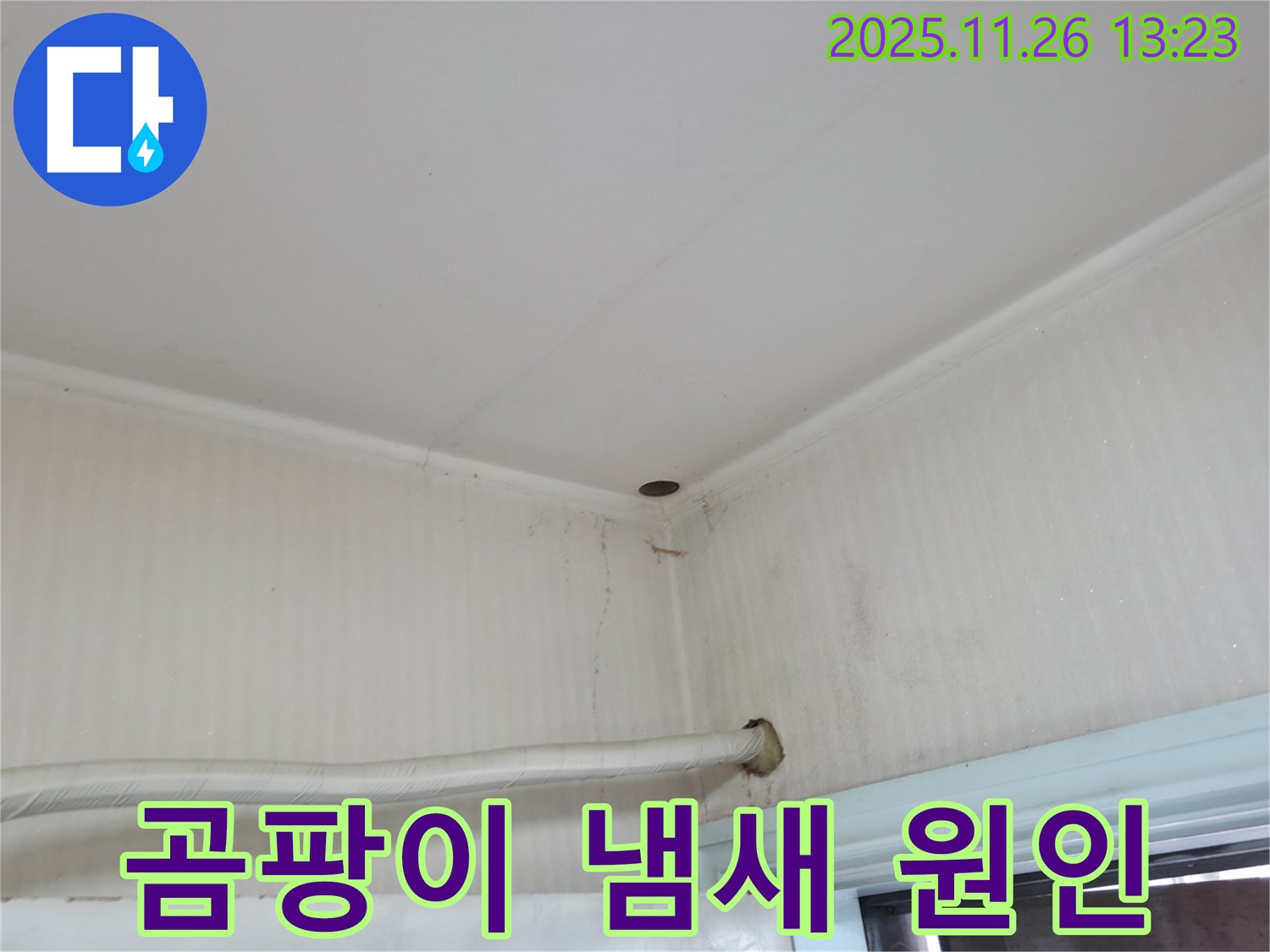 서초구 서초2동 명달로4길 누수 - 곰팡이 냄새의 원인을 찾기 위한 누수 탐지 작업.