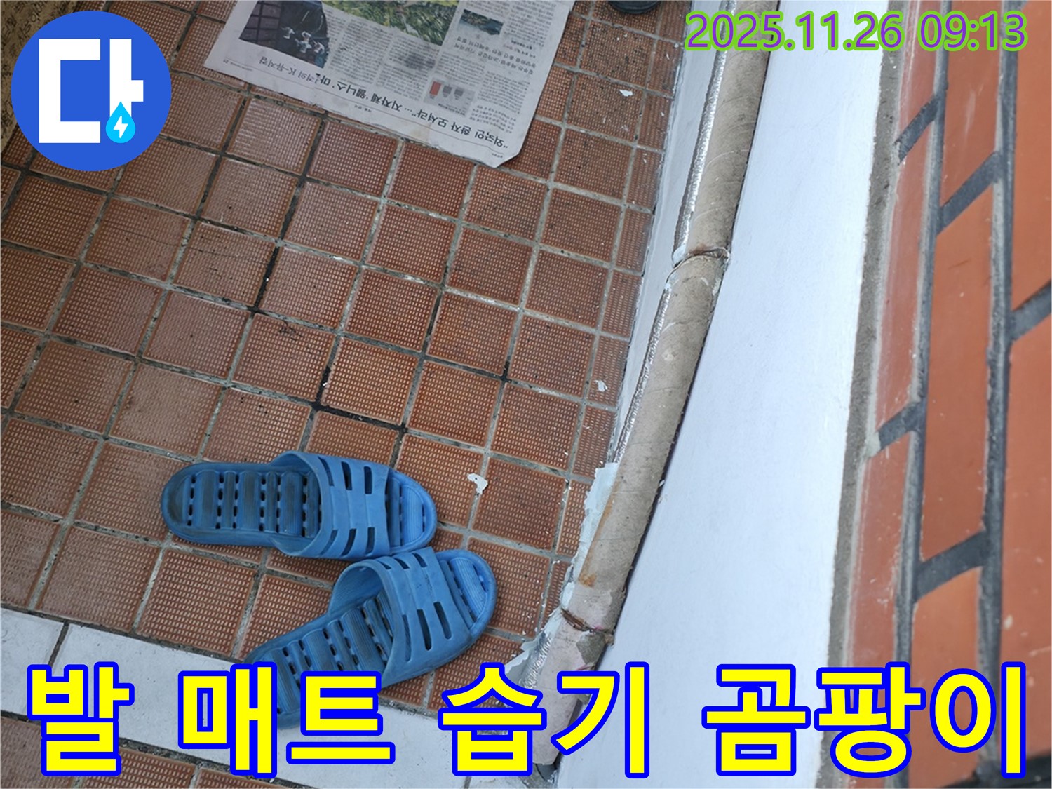 서초구 서초2동 현관 누수 현장 - 현관 앞 발 매트 습기로 인한 타일 변색 및 곰팡이