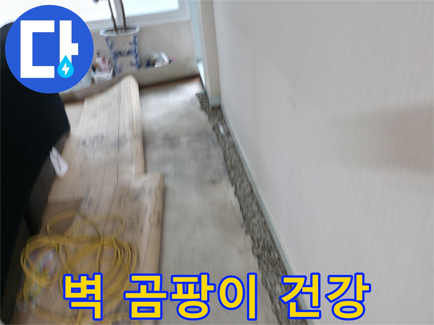 서초구 서초동 누수 - 벽에 곰팡이가 심하게 핀 누수 현장 이미지