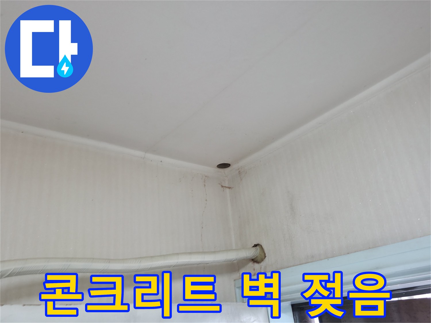 서초구 서초동 누수 - 콘크리트 벽이 젖어 있다면 누수의 심각한 신호일 수 있습니다.
