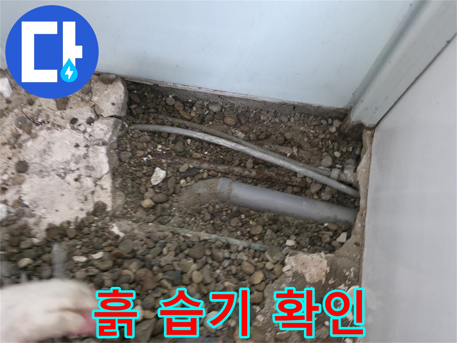 서초구 서초동 명달로4길 누수 - 배관 주변 흙의 습기 정도를 손으로 확인합니다.