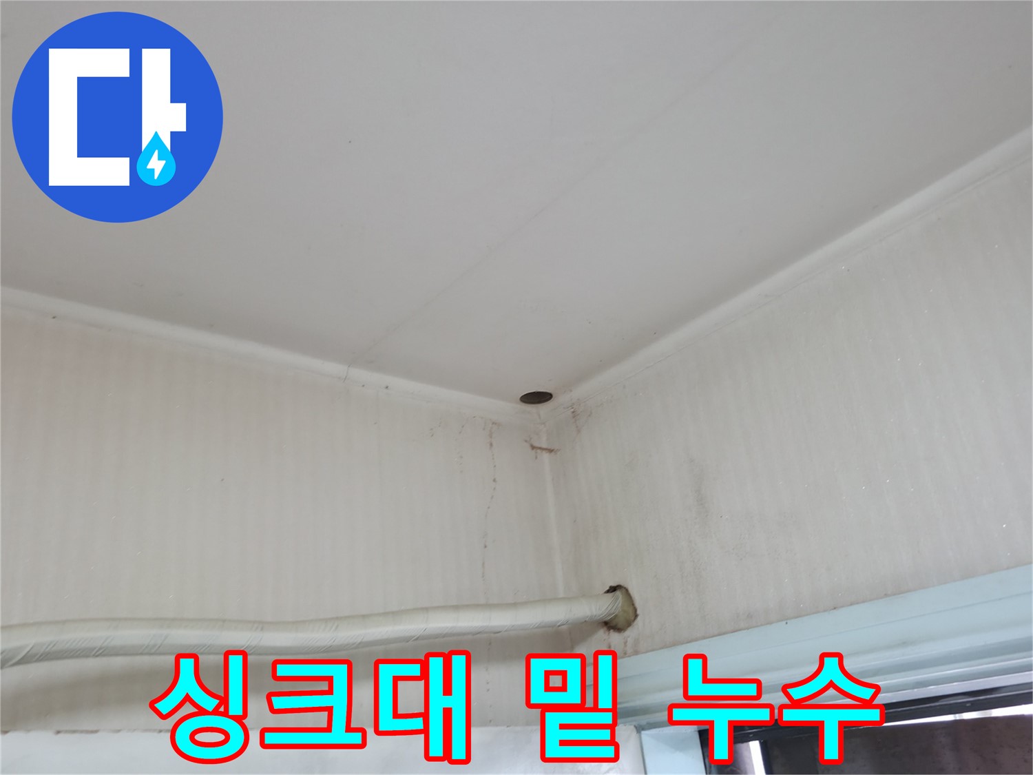 서초구 서초동 싱크대 밑 누수 - 곰팡이 번식의 위험!