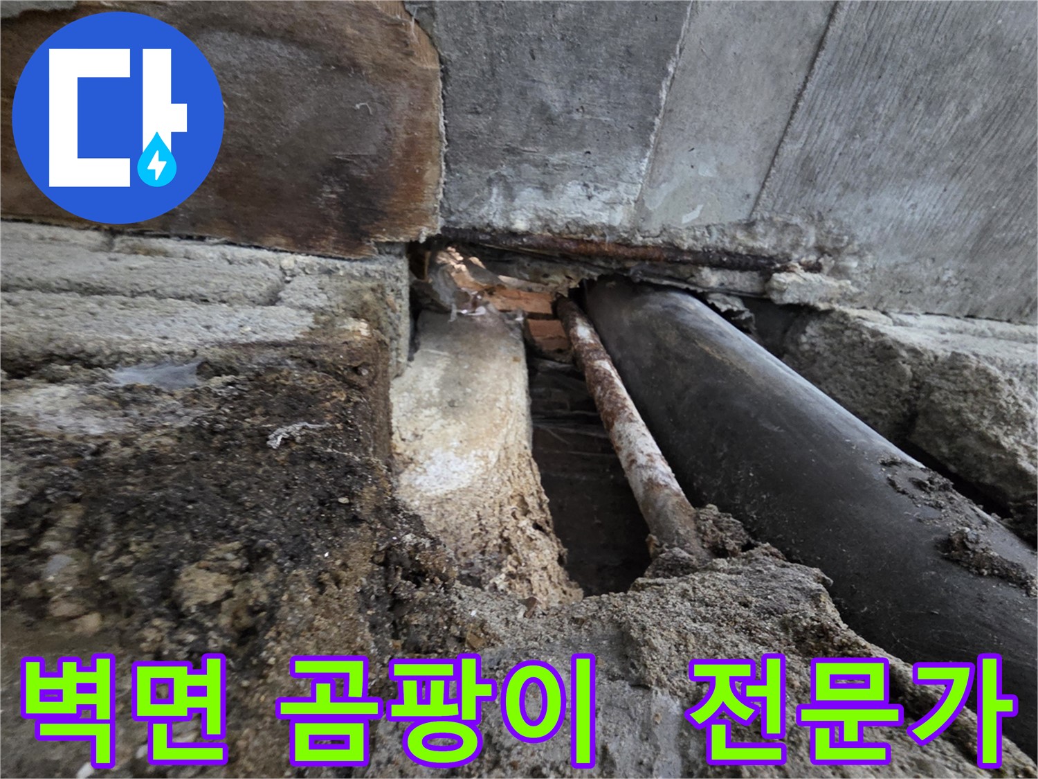서초동 명달로4길 누수 - 건물 벽면 곰팡이 문제, 누수 해결 전문가가 방문하여 해결합니다 - 곰팡이는 건강에 해롭습니다.