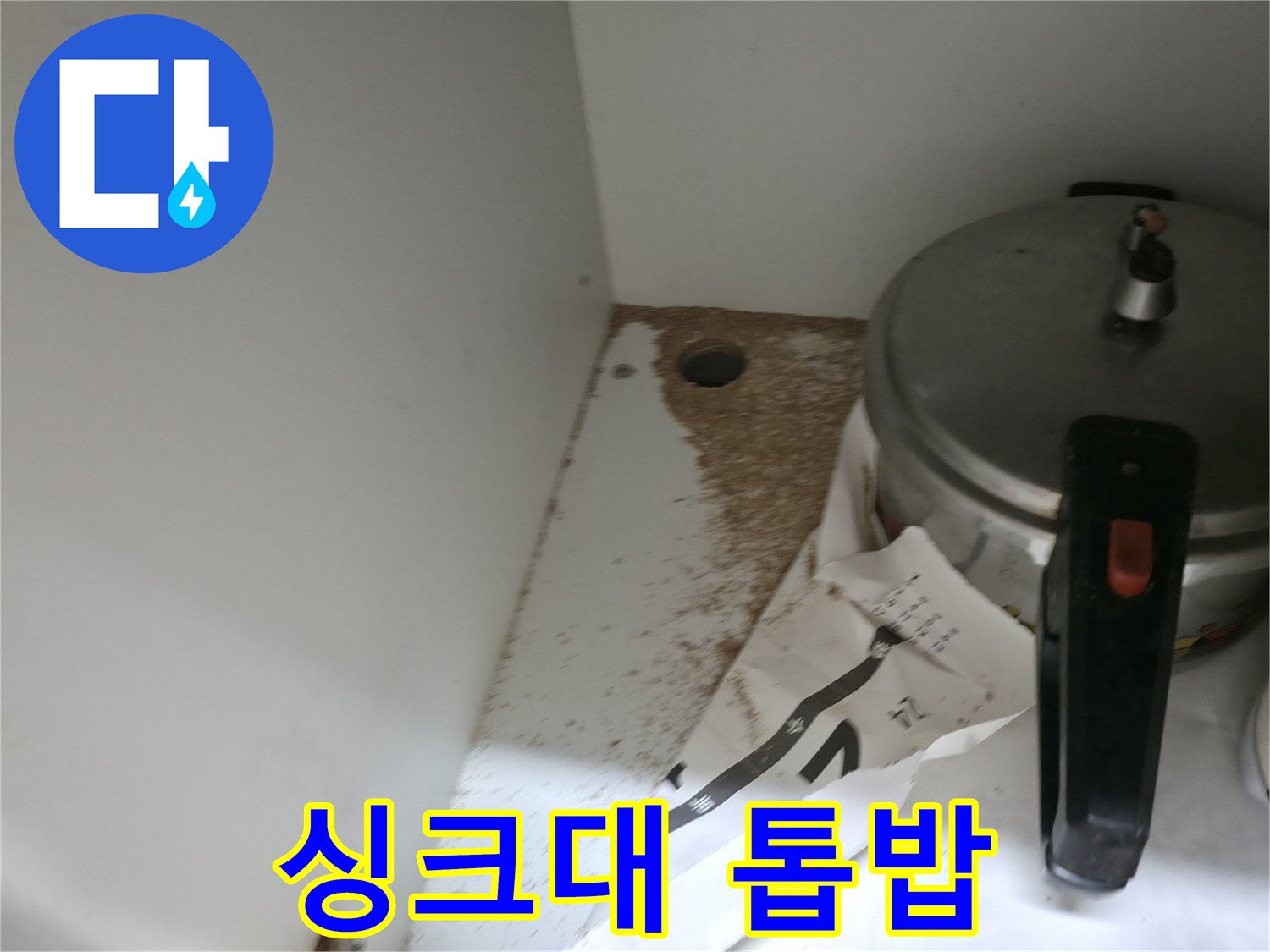 싱크대 밑 - 톱밥 - 나무 부식 - 누수 긴급 점검
