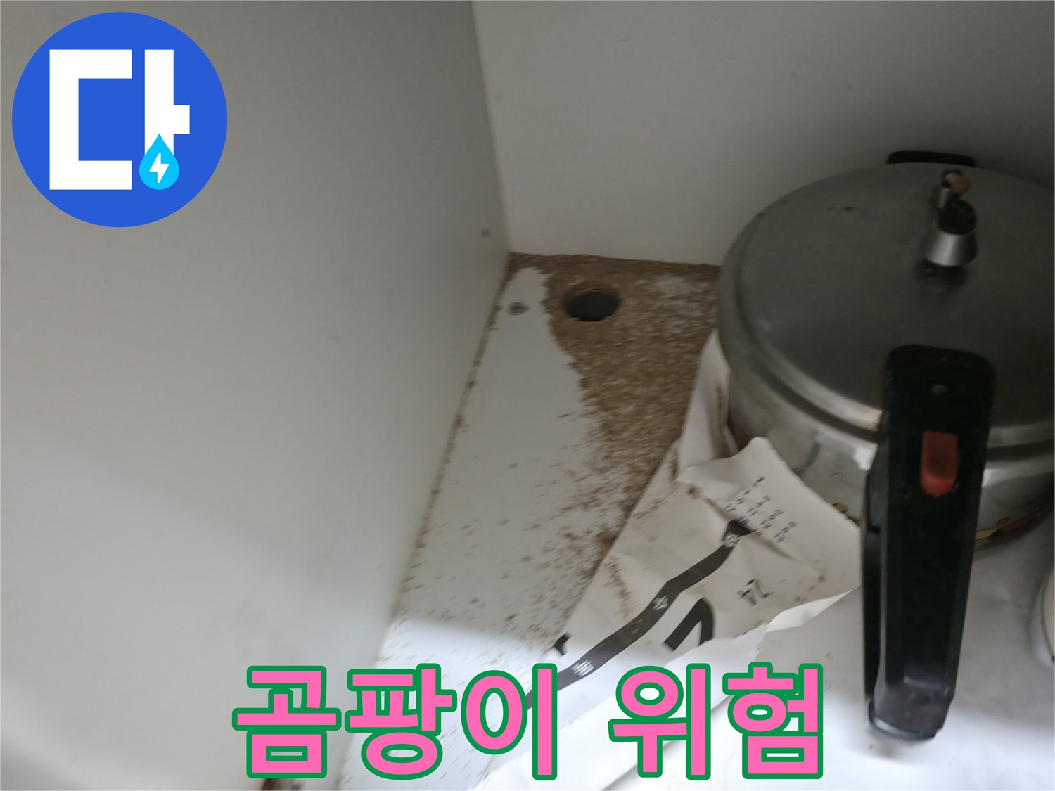 싱크대 밑 - 톱밥 - 습기 - 곰팡이 번식 위험