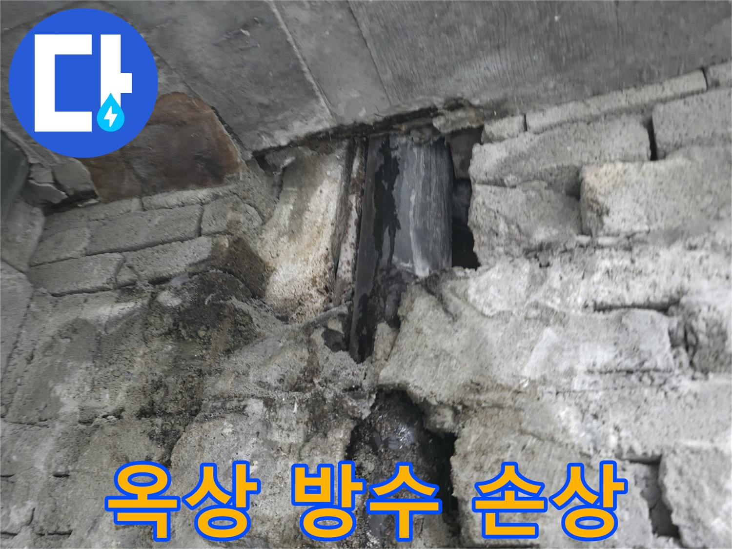 벽면 곰팡이 심각 - 누수로 인해 벽면에 곰팡이가 심하게 발생하여 곰팡이 독소가 퍼지는 상황입니다.