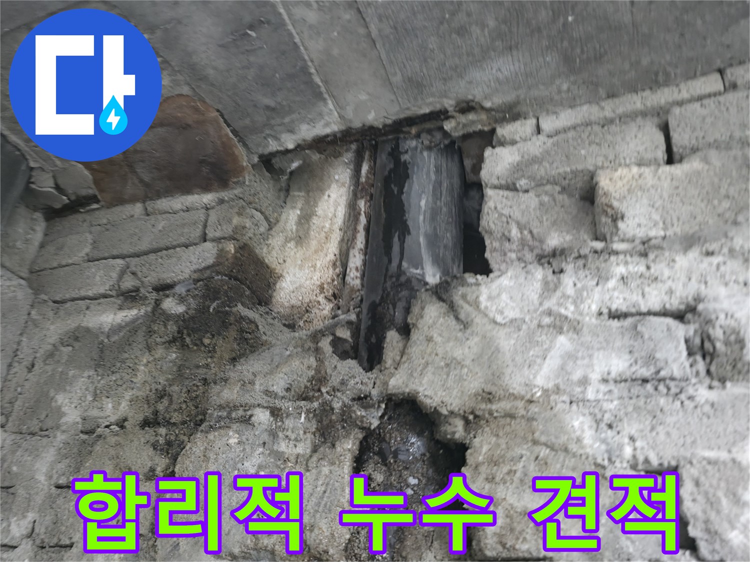 외벽 누수 곰팡이 포자 - 호흡기 질환 유발