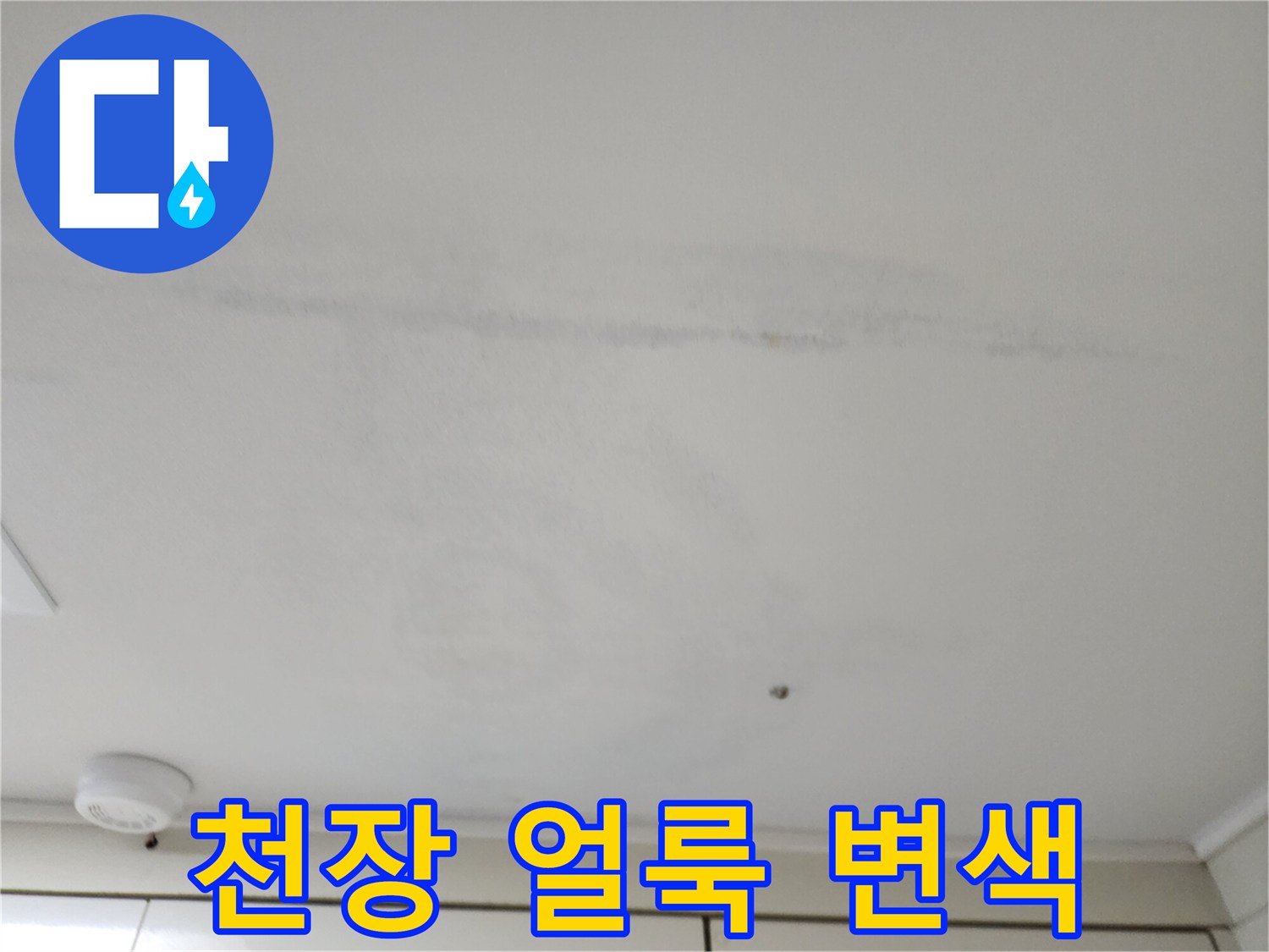 습기로 인해 넓게 번진-천장 마감재의 오염된 부위를 촬영하였습니다.