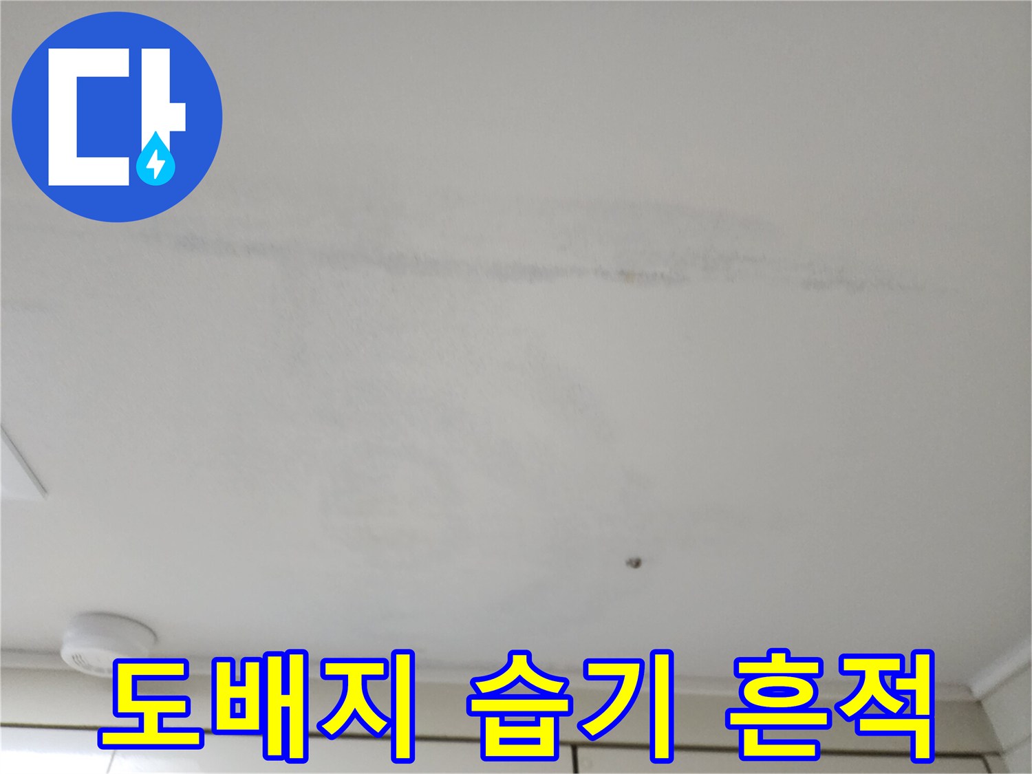 천장 마감재에 나타난 불규칙한 물샘 및 얼룩 자국