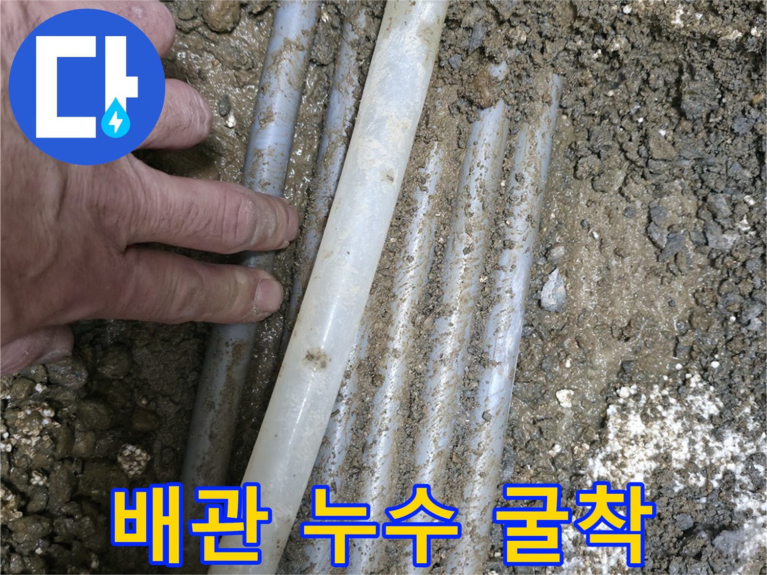노고산동 주택 누수 - 배관 손상으로 인한 누수 발생 - 굴착 작업으로 누수 지점 확인